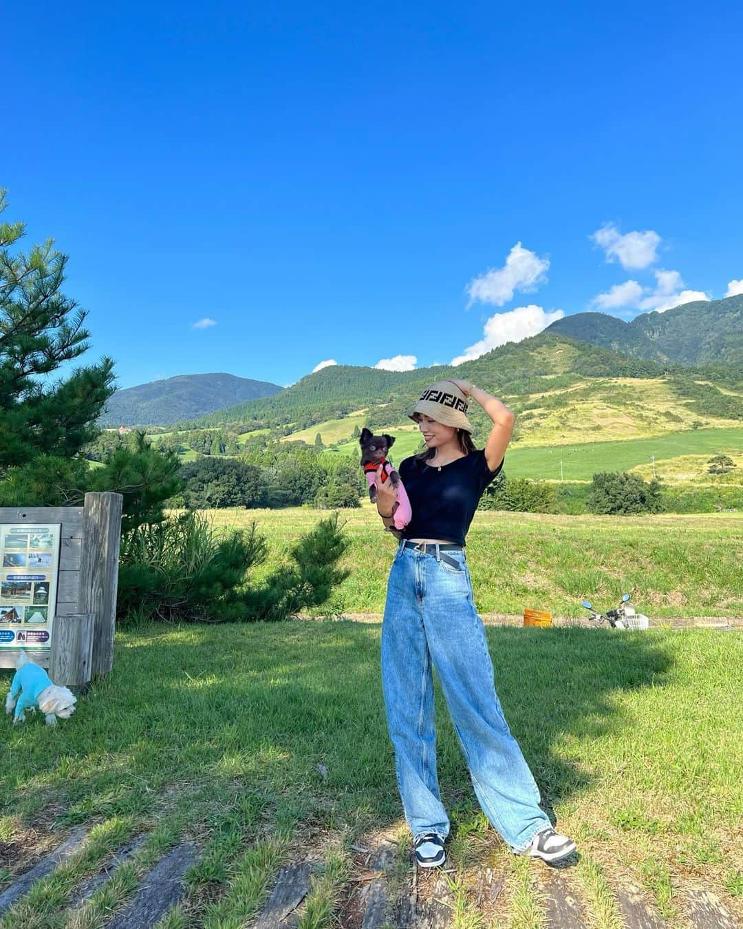 本多末奈さんのインスタグラム写真 - (本多末奈Instagram)「我が家の夏休み🌻 福井県大野市の六呂師高原に行ってきました🐮 たまたまアルプス音楽祭がやっていて いい天気と素敵な景色に囲まれて 自然と音楽を満喫してきました⛰️🎼✨  ミルク工房のソフトクリームの食べ比べもして （濃厚なのとあっさりとがありまして） 山の景色を見ながら食べる環境がとても最高で🍦 普段触れ合えない環境なだけテンション上がるのに とても贅沢な気持ちになりました🥴🫶  マシューも嬉しそうだったな🐶🐾  今はもうビルに囲まれた日常に戻りましたが あの風景が恋しいです⛰️🥲 暑いけど風が涼しくてマイナスイオンたっぷりなのが 山の良いところですね👍また行きたいなー‼︎ 楽しかった私の夏休み☀️  #福井県大野市 #六呂師高原 #六呂師高原アルプス音楽祭 #ミルク工房  #我が家の夏休み #summervacation #familytime」9月21日 14時25分 - honda_mana