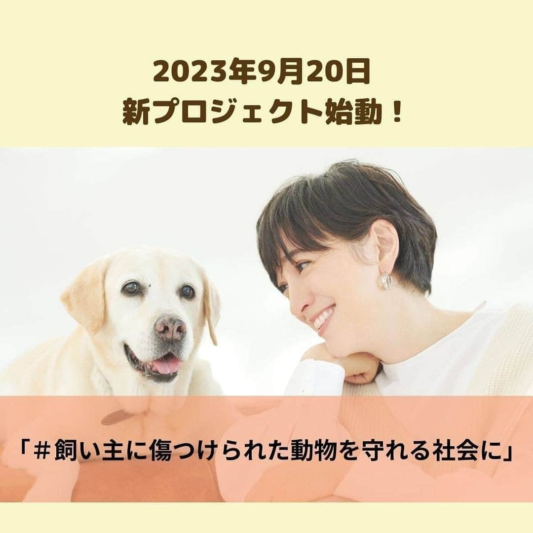 滝川クリステルのインスタグラム：「みなさん、本当にご無沙汰しています。 3ヶ月ほど投稿が途絶えてしまいました😅 ご心配おかけしました🙇‍♂️  さて、今日はみなさんにお願いしたいことがあります。  再来年、5年に１度の動物愛護管理法の見直しが行われます。  日本の今の法律では、虐待から動物を守ることができないことをご存知ですか？  クリステル財団では、署名活動を９月２０日より開始しました。  是非是非、拡散、賛同、諸々のサポートをよろしくお願いします🤲　 署名のURLは、私や財団のInstagramのプロフィール欄に張ってありますので、そこからすぐにはいれます。 みなさん、一人一人の声がうねりを作ります。力を貸してください。 ↓↓↓↓↓↓↓↓↓↓↓↓↓↓↓↓↓↓↓↓↓↓↓↓  【#拡散希望】 本日 「#飼い主に傷つけられた動物を守れる社会に」プロジェクトを始動いたしました。  私たちは、動物愛護管理法を本当の意味で「飼い主に傷つけられた動物を守れる法律」にするため、以下３点の明記を求めて署名活動を行います。 集めた署名は、法改正に向けて国会議員へのロビー活動等に活用させていただきます。  詳しくは、https://www.change.org/cve_animalsosをご覧ください。 （Instagram プロフィール欄より飛んでいただけます。）  ーーーーーーーーーーーーーーーーーーーー 【署名内容　要約】 1）緊急一時保護　～手遅れになる前に、“証拠”ではない形で、虐待された動物が保護できるように～ 虐待を受けている（疑いのある）動物を、行政は警察と連携して適切なタイミングで一時保護しなければならない 2）所有権の喪失　～虐待を受けた動物が、虐待を繰り返す恐れのある飼い主のもとに帰らなくてすむように～ 虐待の程度が酷い場合や飼養環境が改善されないなど一定の条件をみたした場合には、当該動物の所有権を飼い主から喪失させることを可能とする 3) 行政による保管　～虐待を受けた動物の居場所が確保できるように～ 一時保護された動物は、原則として行政が保管する（所有権喪失後は、民間等とも連携の上、新しい飼い主探しを行う） ーーーーーーーーーーーーーーーーーーーー  署名及び周りの方やSNS等での拡散など、ご協力何卒よろしくお願いいたします。  ※SNS等で拡散いただく際は、 #飼い主に傷つけられた動物を守れる社会に　をつけていただき 当財団をタグ付け、メンションをいただけますと幸いです。  #christelvieensemblefoundation #クリステル財団 #動物愛護週間 #飼い主に傷つけられた動物を守れる社会に #滝川クリステル」