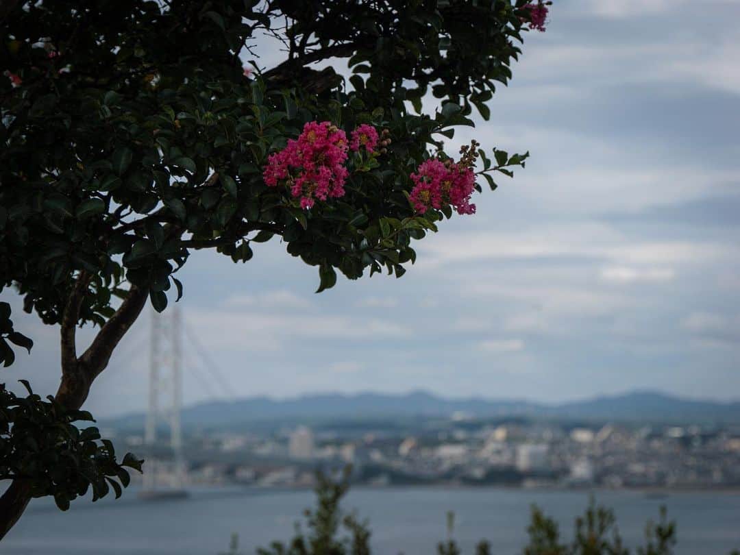 のインスタグラム：「淡路島から、四国渡ったら 良いBMX販売店ありますよ！  #徳島県  @cyclespace.uzu  や @the_bicycle_enterprise   #aresbikes #bmx #flatland #freestylebmx」