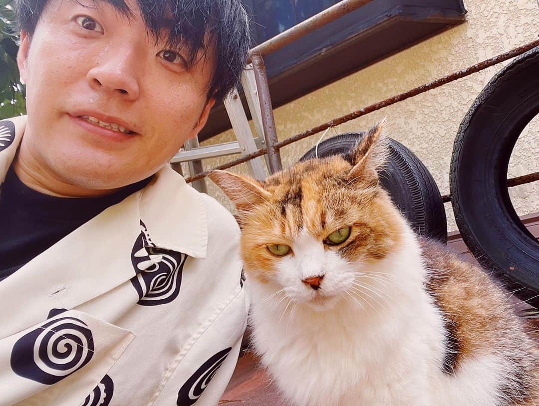 三浦リョースケさんのインスタグラム写真 - (三浦リョースケInstagram)「8年前に実家で飼ってた子猫ですが、現在は実家から2軒離れた家の猫になってるそうです。(まずこれがおかしな話なんですけど) その猫が覚えてくれてたっぽくて帰省したぼくを相手してくれたニャー😺😺😺」9月21日 21時01分 - naturemiura