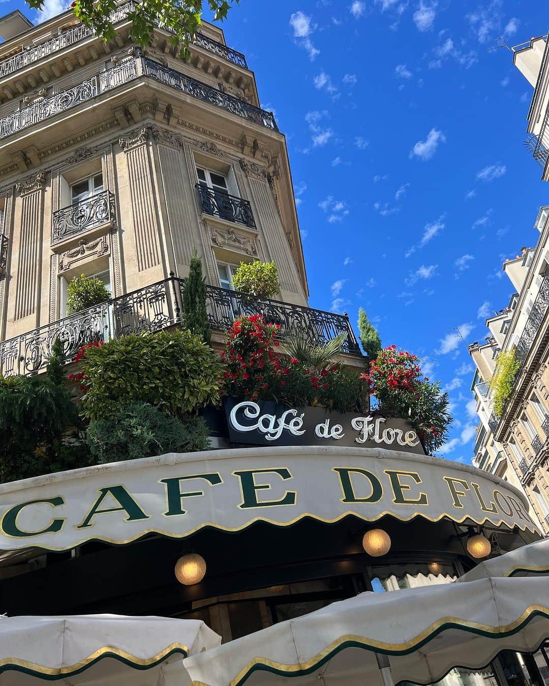 MALIAさんのインスタグラム写真 - (MALIAInstagram)「Paris載せて無かったシリーズ🇫🇷✨ お気に入りのcafeがいくつかあるのだけど、 こじんまりとしたところから みんなが立ち寄る老舗cafe☕️ ⁡ café de floreはあさイチ逃すと大行列💐💭 今回はお昼過ぎに行ったので既に並んでいて その列を見て断念。café de floreの周りには たくさん素敵なcafeがあるのですが、 歩いてすぐのRalphLauren cafeへ☺️ 安定的に可愛いくって🍃素敵なお店☕️✨ ⁡ #Paris #パリ旅 #素敵なお店 #素敵なcafe #お気に入りのお店多すぎて全部行けない #Parisの青空 #絵本に出てくる世界観 #🇫🇷」9月21日 20時54分 - maliarehman