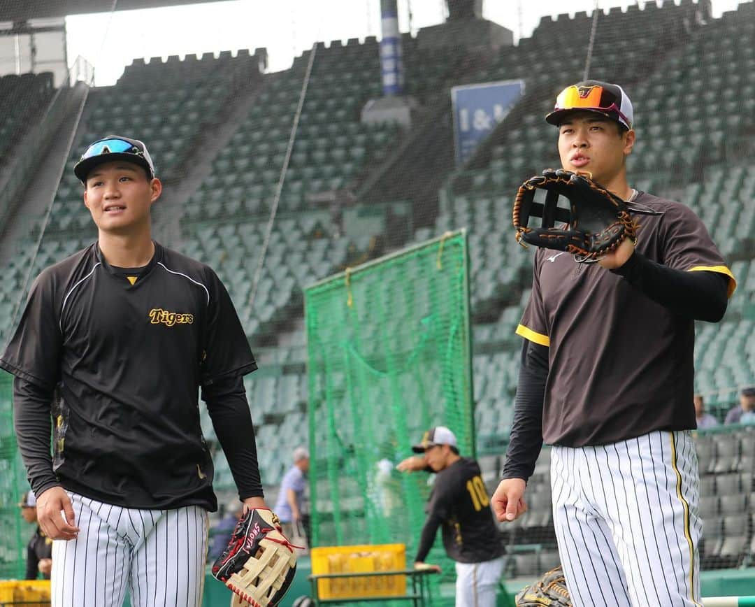 阪神タイガースさんのインスタグラム写真 - (阪神タイガースInstagram)「9月21日巨人戦の試合前練習の様子です！ #小幡竜平 選手 #熊谷敬宥 選手 #佐藤輝明 選手 #森下翔太 選手 #渡邉諒 選手 #小野寺暖 選手 #糸原健斗 選手 #桐敷拓馬 選手 #岡留英貴 選手 #才木浩人 選手#藤原トレーナー #村上頌樹 選手 #阪神タイガース #JERAセリーグ #ARE」9月21日 16時04分 - hanshintigers_official