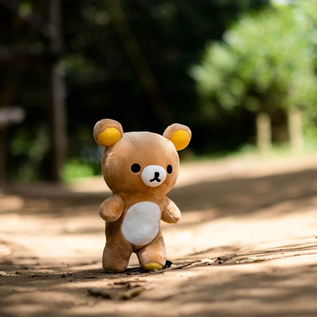 のインスタグラム：「【リラックマがいる暮らし＃77】 暑さも真夏よりは和らいで、お散歩がしたくなる季節になってきました。 リラックマと一緒に、木漏れ日の中をテクテク。  #リラックマがいる暮らし #リラックマ #秋 #時間 #rilakkuma #autumn #拉拉熊 #🐻」