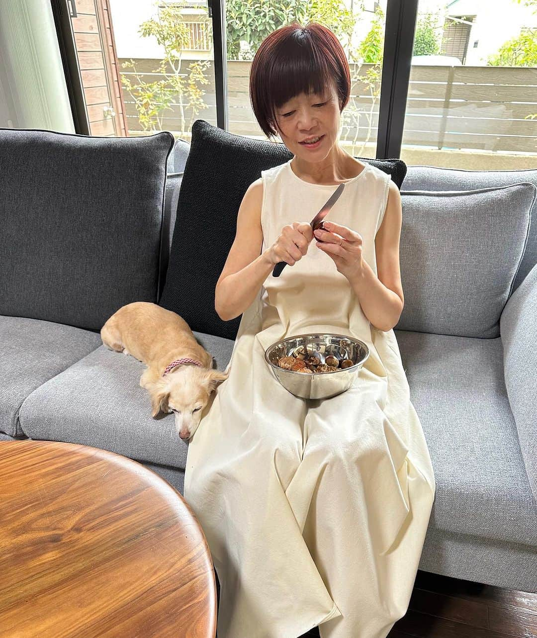 神野美伽さんのインスタグラム写真 - (神野美伽Instagram)「9月21日  みなさん こんばんは  一週間前までの忙しさと緊張が嘘のように、 今、のんびりと穏やかな時間を過ごしています。  昨日、MIKAファミリークラブの方が栗を送ってくださいましたので、 ひと晩水に浸けて皮をむき、依子さんと一緒にお昼に栗御飯を作りました。  とても美味しく炊けましたので、 母にも届けて来ました。  いつも皆様から美味しいものを色々とお送りいただいておりますことを、心から感謝しております。  沢山いただきましたので、 昼からは、渋皮煮を作っています。 たっぷりブランデーを入れましたよ（笑）  明日あたり、 しっかり味が染み込んで美味しくなっていることと思います。  有難い時間を過ごしています。 みなさん、 ありがとう。  #栗　#栗御飯　#栗の渋皮煮」9月21日 17時22分 - mika_shinno_japan