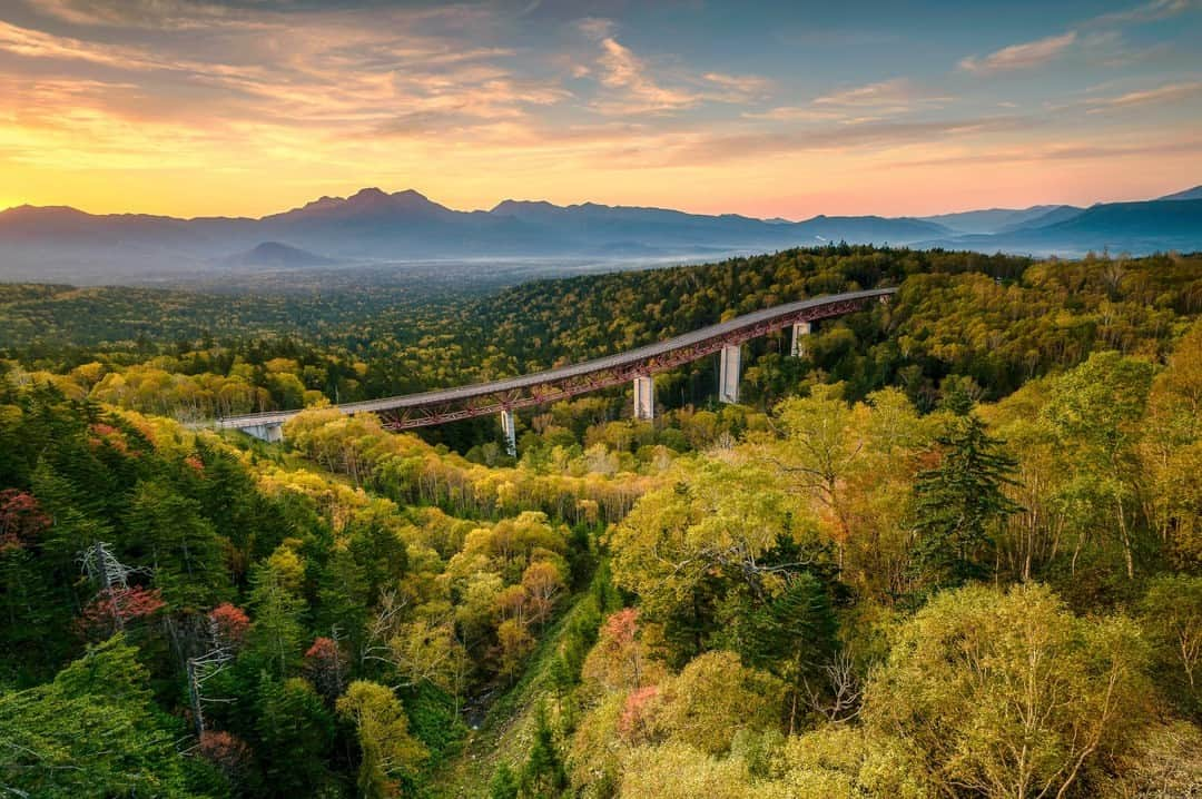 JALのインスタグラム：「. 夜明けの光に包まれる 北海道 #三国峠 🌄 #SeptemberMyWay . . Photo by @ryo_morita_photo Post your memories with #FlyJAL  #JapanAirlines #JAL #travel #北海道 #北海道旅行 #大雪山国立公園 #松見大橋 #上士幌町 #国道 #夜明け #紅葉 #紅葉スポット #絶景 #絶景スポット #日本 #日本の絶景 #国内旅行 #旅行 #日本航空」