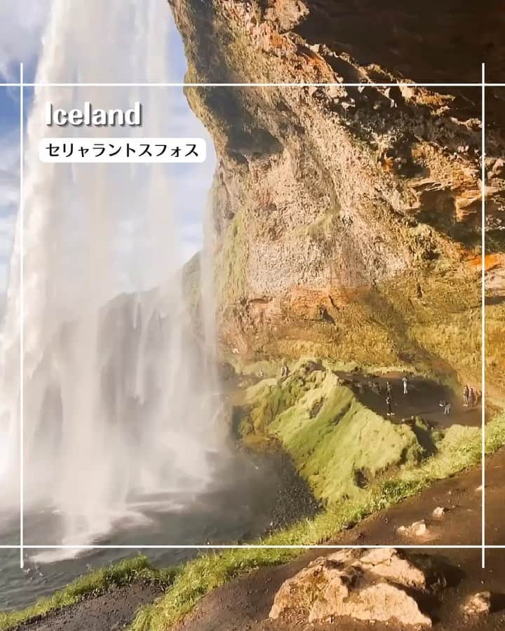 エイチ・アイ・エスのインスタグラム：「＼大自然の宝庫🌏アイスランド🇮🇸／  今日は火の国🔥アイスランドをご紹介✨  氷河、滝、火山に間欠泉。 どこを切り取っても地球が生きていることを実感せずにはいられない、大自然の宝庫アイスランド🌈  迫力満点のアイスランド、ぜひチェックしてみてね🛫  🚩2〜3枚目　#セリャラントスフォス 🚩4枚目  #ゲイシール 🚩5枚目  #グトルフォスの滝 🚩6〜7枚目　#フィヨルド観光  …………………………………………………………… 📍 #アイスランド 📸 @hi.tori__ さん  約1週間かけてレンタカーでアイスランドを一周🇮🇸 地域によってまったく違う顔があり、驚きと感動の毎日。 カメラを構えながらいつ噴き出るかドキドキした間欠泉、水しぶきを浴びながら裏側から見る滝は圧巻です。 アイスランドは地球を感じられる素晴らしい国でした。 ……………………………………………………………  旅先探しのヒントは こちらをチェック▶︎▶︎▶︎ @his_japan  —————— 📷旅のお写真募集中✈️ ——————  皆さんの旅の思い出は、@his_japan OR #his_japan2023 を付けてシェアしてください🙌 過去PICもOKです❗️  集まったお写真は、HISのSNSやオウンドメディアでご紹介🙆‍♀️  #旅の思い出 #海外旅行 #アイスランド観光 #アイスランド旅行 #アイスランドドライブ #旅行好きな人と繋がりたい #次の旅先リスト #旅行好きな人と繋がりたい #写真好きな人と繋がりたい #旅したくなるフォト #旅スタグラム #インスタトラベル #女子旅 #カップル旅 #instatravel #instapassport #photooftheday #instaphotography #worldtravelpics #worldtraveler #japantravelphoto #icelandnature #icelandtrip」