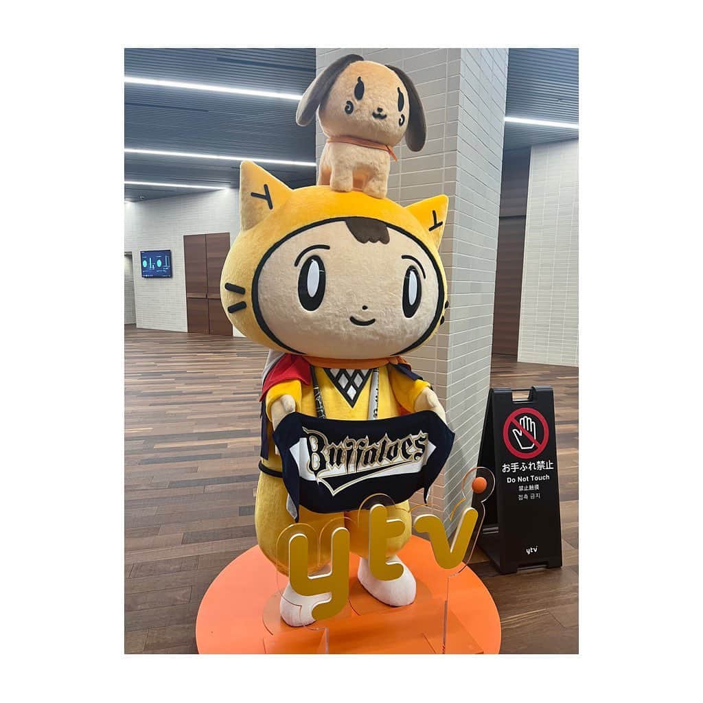 のインスタグラム：「シノビーも祝福！  #オリックスバファローズ #３連覇 #おりほー」