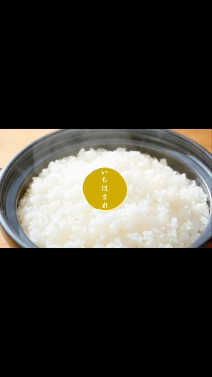 大島優子のインスタグラム：「日本一美味しい誉れ高きお米”いちほまれ”」