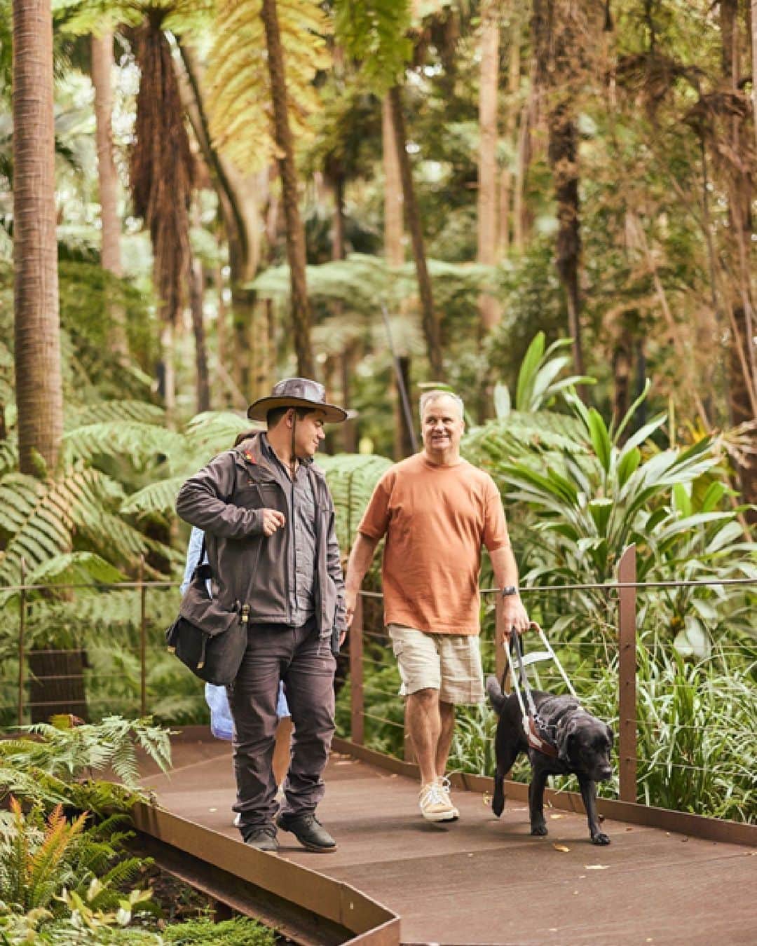 Australiaのインスタグラム：「You're unbe-leaf-able @visitmelbourne 🍃🌿 Nestled in the heart of Narrm (#Melbourne), the @royalbotanicgardensvic is a serene oasis amidst the lively pulse of #Victoria's vibrant capital city. With well-maintained paths, ramps, accessible toilets, and guided tours, the gardens are also fully accessible - so everyone can enjoy! Pro tip: Don't miss the chance to experience the gardens' stunning vistas, tranquil lakes, and diverse plant collections through an Indigenous lens on @royalbotanicgardensvic's Heritage Walk 🌳🌺  #SeeAustralia #ComeAndSayGday #VisitVictoria #VisitMelbourne  ID: an Indigenous male tour guide leads a woman and a man who has a service dog through the leafy landscape of the Royal Botanic Gardens in Melbourne.」