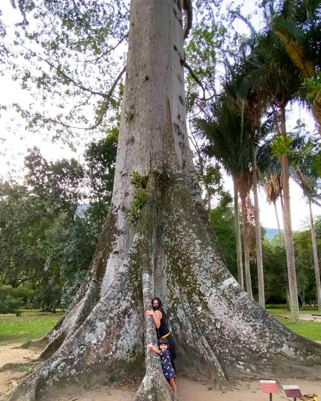 カロウ･カストロさんのインスタグラム写真 - (カロウ･カストロInstagram)「Dia da árvore 💚 Não posso ver uma que abraço…já ensinei pra minha filha:) Já plantamos também! E vc? Já plantou a sua ?  #diadaarvore」9月22日 5時08分 - castrocarol