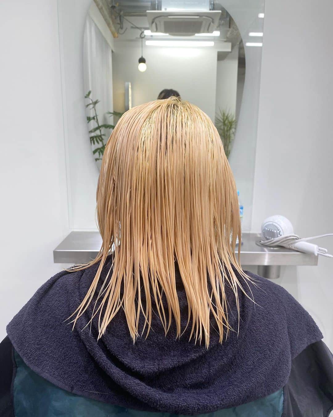 きぬがわひかるさんのインスタグラム写真 - (きぬがわひかるInstagram)「〝milk tea blond〟  bleach retouchからの 美味しいそうな色味を意識しました◎  補色で赤が5％入ってます🙌🏻」9月21日 21時31分 - hikaru.kinugawa