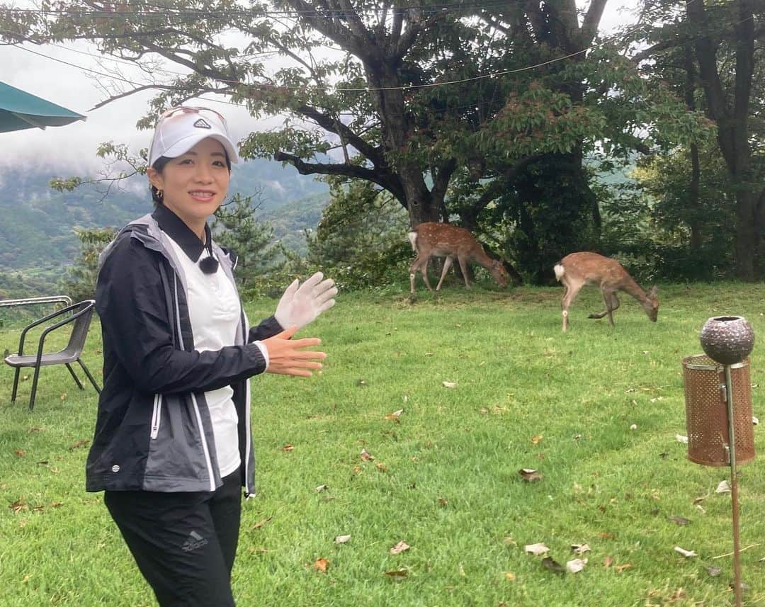 大江香織さんのインスタグラム写真 - (大江香織Instagram)「. シカの親子に遭遇！ ⁡ コースによく現れるそうで、人に慣れてるみたい。 野生の鹿にここまで近づけたのは初めて。 練習にも付き合ってくれました。 ⁡ ⁡ #シカでした」9月21日 21時34分 - _kaori.ohe_