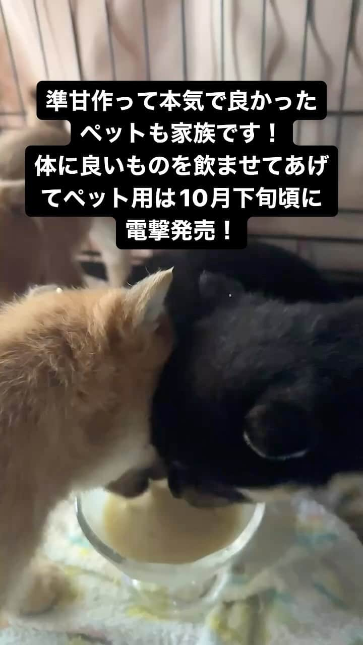 河本準一のインスタグラム