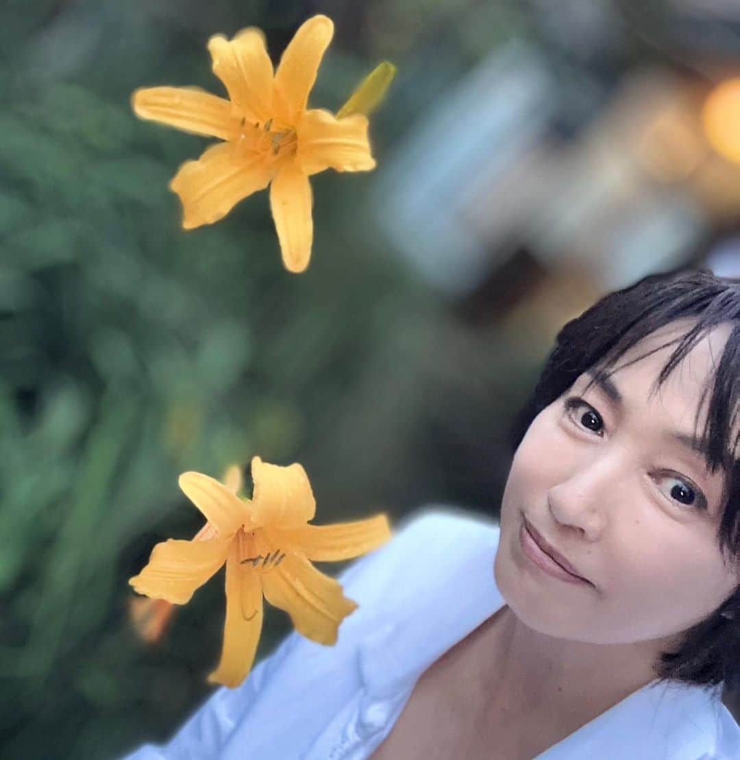 高島礼子さんのインスタグラム写真 - (高島礼子Instagram)「きれいな花😃 たまにはゆっくり景色を見てると 出会いがありますね🌼  #たまには #景色を楽しむ  #花 #」9月21日 21時54分 - reico.official