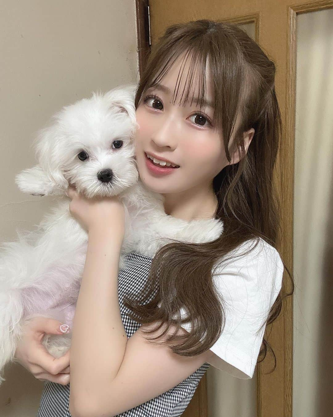 佐野心音のインスタグラム：「家族が増えました🐶🤍 マルチーズの男の子【こめた】ですよろしくね🍚」