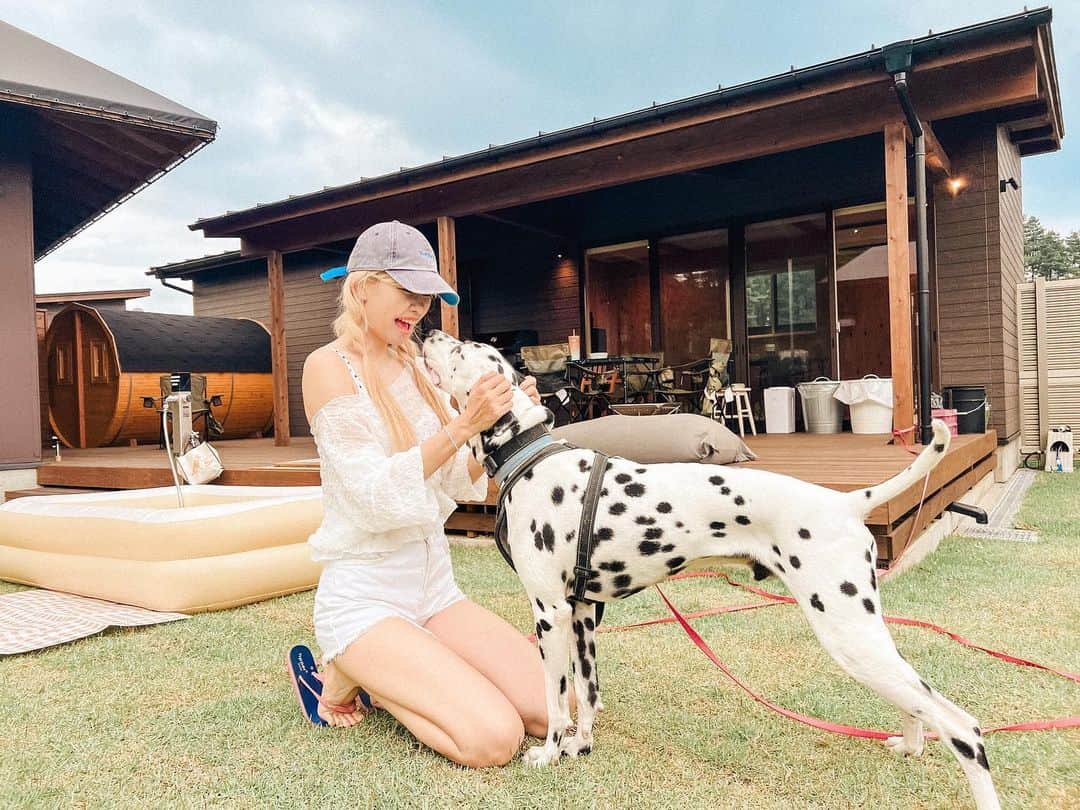 浅場佳苗さんのインスタグラム写真 - (浅場佳苗Instagram)「行楽の秋！🐶🍁 山梨県は少しづつ葉も黄色くなってきていて、 とっても涼しかったです☁️🫧  💌 自分の備忘録用にと、 人見知り&犬見知りさんなわんちゃんを、 家族に持つ飼い主さんにも、 参考にしてもらえたら.. ！なまとめ✍️ #ドッグヴィラ富士河口湖   ・寝室/リビング的な棟とごはんを食べる棟が分かれているので、スタッフさんがごはん準備をして下さる時にわんちゃんは寝室/リビング側で待てる🐶  ・夕食のあとすぐに朝食も持ってきてくれるので、お部屋というか敷地に入ってからスタッフさんと対面する可能性があるタイミングはその時だけ◎  ・お隣さんとの仕切りはちょっと注意！ 泊まったのは2のお部屋なんだけど、お隣さんとの仕切りはよくあるあみあみの感じのやつ。 人ともわんちゃんともしっかり目と目が合っちゃいます👀 プールの付き1のお部屋だけはどのお部屋にも面してなかったから、絶対見えない方がいい方はそこを予約するのがいいかも◎  ・お部屋というか敷地の入口も特に中が見えないようになっているわけではなくて、低めのゲートがあるだけなのと、基本各お部屋に行く道は1本道なので、チェックイン・チェックアウトの時は特に他のご家族が目の前を通ったり、すれ違う可能性がしっかりある🌿 (プール付き1のお部屋は独立してるし一番手前だし気にならなそう！)  ・お隣さんの話し声とかはそんなに聞こえない！  ・お庭広い！多頭飼いのご家族にも最高！ 頭数・サイズ制限もなしでした🐩🐕🐕‍🦺🐕(2023年9月時点) #きょうのドット #元保護犬 #犬と泊まれる宿 #ダルメシアン #大型犬 #犬との暮らし #tokyo #japan #dancemusic #dancepop #edm #singer #songwriter #シンガーソングライター #フレキシタリアン #動物愛護 #サスティナブル #エコ #地球にやさしいミュージシャン #愛犬家 #浅場佳苗 #kanaeasaba」9月21日 22時27分 - kanae_asaba