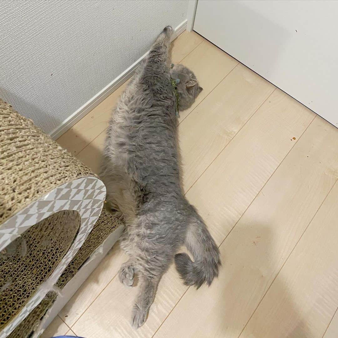 and myuのインスタグラム