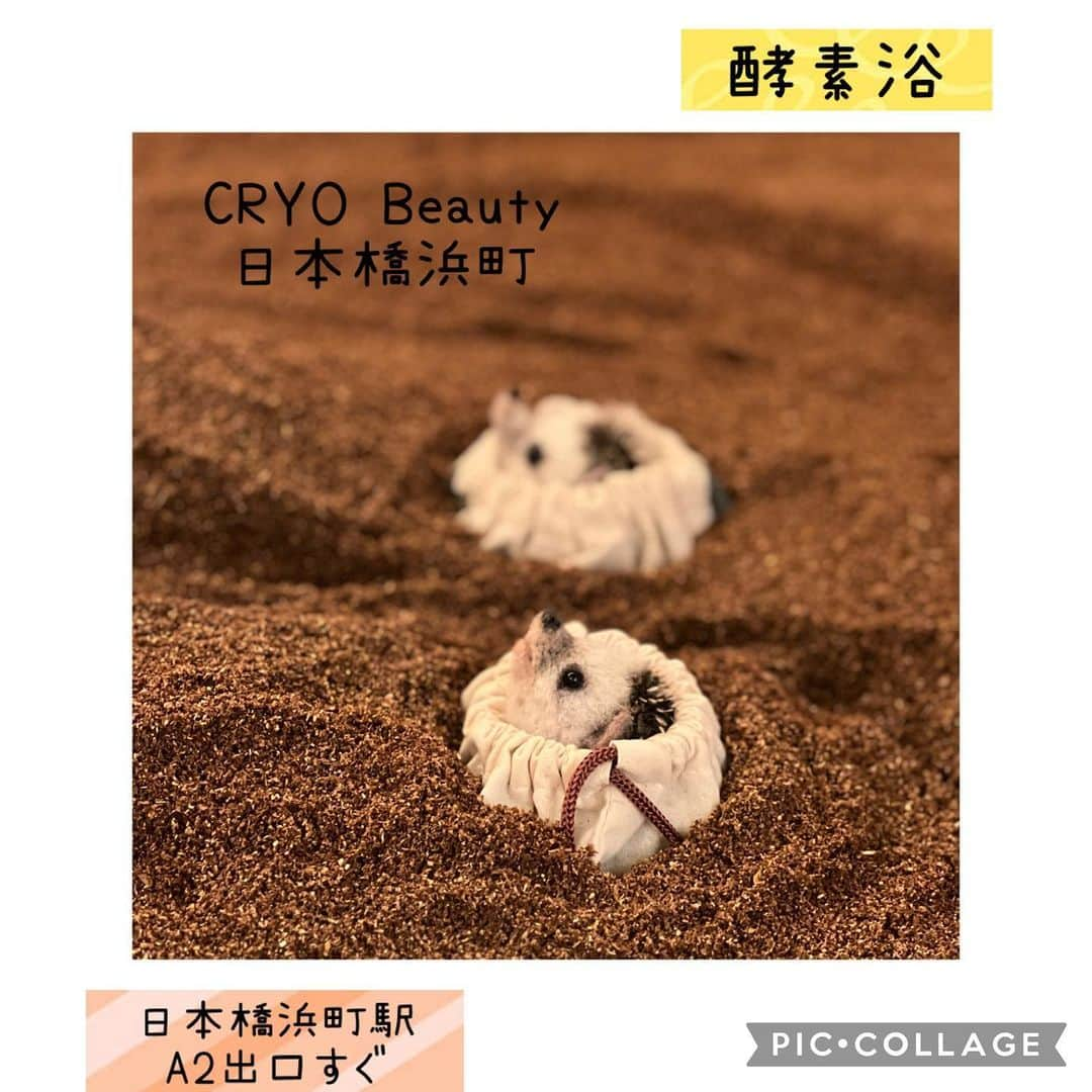 ラド&ティンクのインスタグラム：「enzyme bath  model ： wool felt doll🦔  日本橋浜町の駅チカの @cryobeauty_nihonbashihamacho  の酵素浴体験をしてきたよ。  酵素風呂に入る前に クライオバスという-120℃の中に脚だけ入れて血行促進するよ。  酵素の中の微生物による発酵の力だけで自然に50℃以上になる酵素風呂。  酵素着に着替えて 酵素の中に寝るんだけど、 動かないウォーターベッドみたいに身体に酵素の砂に埋まるから、とっても寛げるよ。  サウナよりは、柔らかく温められる感じ。 汗もたくさんかいてるんだと思うけれど、酵素着や酵素に吸収されていくから、不思議な感覚。  体の芯からポカポカ〜に温まるよ。 身体の粘液から酵素パワーが吸収されて、美肌にもよいし、免疫力もあがるんですって。  香りもとっても癒される落ち着いた香りでした。  @cryobeauty_nihonbashihamacho さんでは、酵素浴の他にもピラティスパーソナル・CRYOストレッチなど様々なメニューがあるそうです☺️  一緒に @coakiaco さんと行ったよ😊  PR @cryobeauty_nihonbashihamacho #cryobeauty日本橋浜町 #酵素浴 #酵素風呂 #ピラティススタジオ #東京ピラティス #パーソナルケア #パーソナルスタジオ #日本橋浜町」