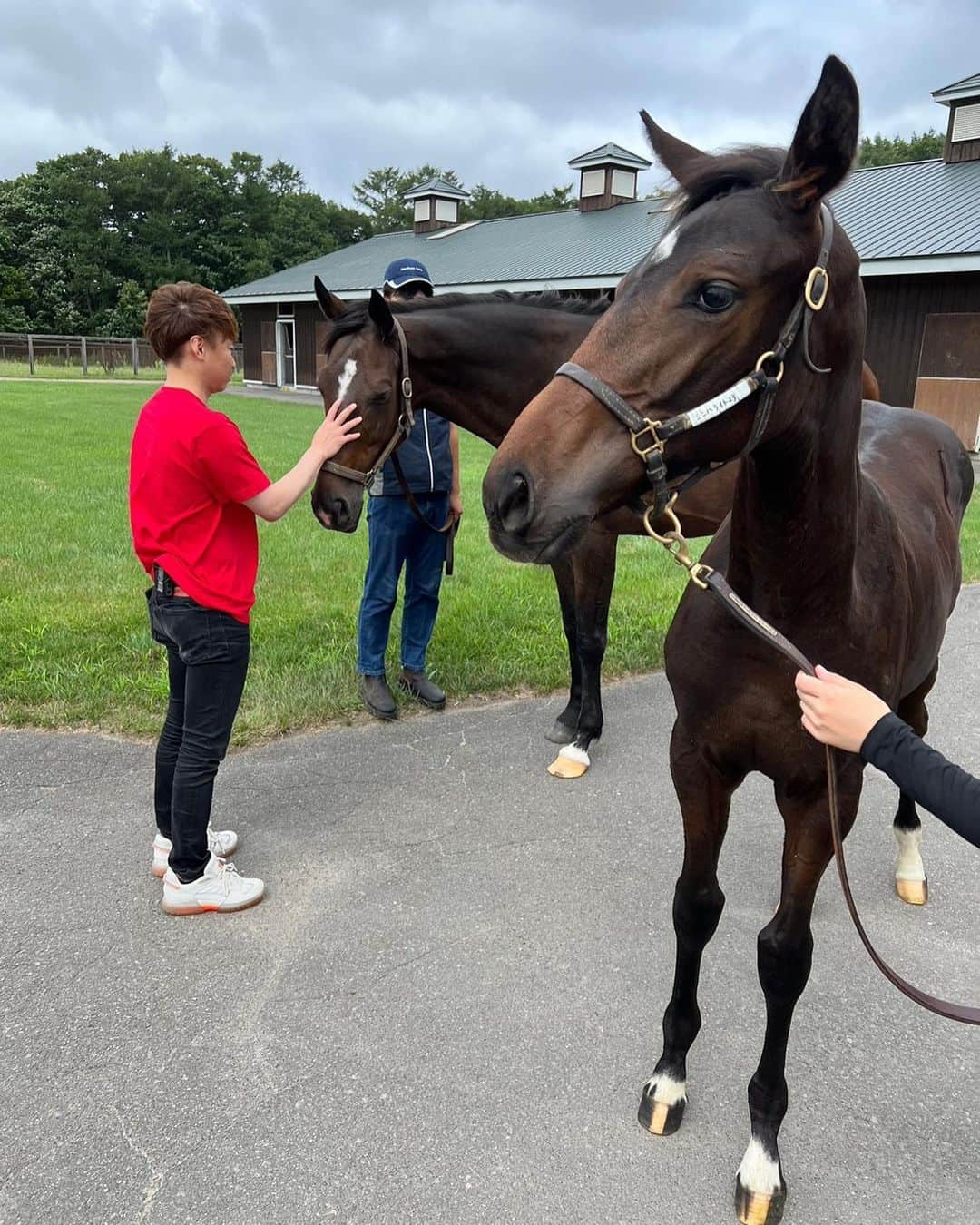 池添謙一さんのインスタグラム写真 - (池添謙一Instagram)「夏シリーズ シンハライト🐴 デビュー戦からコンビを組んで6戦5勝G1のタイトルも取りました🏇 今まで騎乗してきた中でも牝馬ではNo.1と言ってもいい乗り味の柔らかさでした‼︎ 屈腱炎で引退せざるをえなかったけど…大丈夫であればもっとタイトルを取れた子だと今でも思います🐴 子供にも乗りたい笑  グランアレグリア🐴 2戦しかコンビを組めなかったけど全てにおいてのセンス、ポテンシャルが最高に高い子でした🏇 安田記念で当時の最強馬アーモンドアイ🐴に勝利し なにより名門藤沢厩舎の管理馬でG1を取れたのも自分のキャリアの中で嬉しいG1タイトルの1つだと思います(^^)  末長く幸せに過ごしてほしい😌と思います  詳しくは謙聞録で  #シンハライト #グランアレグリア」9月21日 23時30分 - kenchan.0723