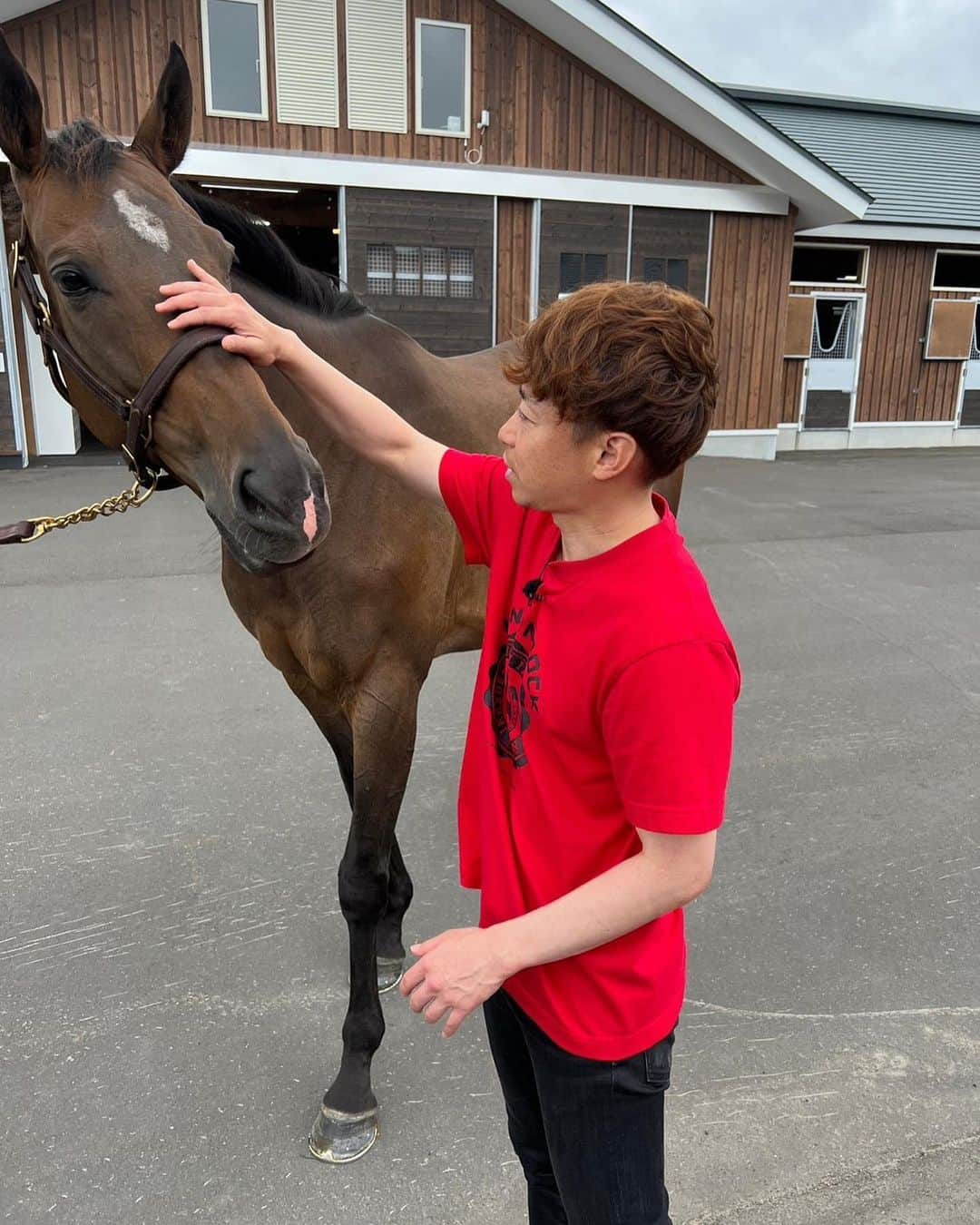 池添謙一さんのインスタグラム写真 - (池添謙一Instagram)「夏シリーズ シンハライト🐴 デビュー戦からコンビを組んで6戦5勝G1のタイトルも取りました🏇 今まで騎乗してきた中でも牝馬ではNo.1と言ってもいい乗り味の柔らかさでした‼︎ 屈腱炎で引退せざるをえなかったけど…大丈夫であればもっとタイトルを取れた子だと今でも思います🐴 子供にも乗りたい笑  グランアレグリア🐴 2戦しかコンビを組めなかったけど全てにおいてのセンス、ポテンシャルが最高に高い子でした🏇 安田記念で当時の最強馬アーモンドアイ🐴に勝利し なにより名門藤沢厩舎の管理馬でG1を取れたのも自分のキャリアの中で嬉しいG1タイトルの1つだと思います(^^)  末長く幸せに過ごしてほしい😌と思います  詳しくは謙聞録で  #シンハライト #グランアレグリア」9月21日 23時30分 - kenchan.0723