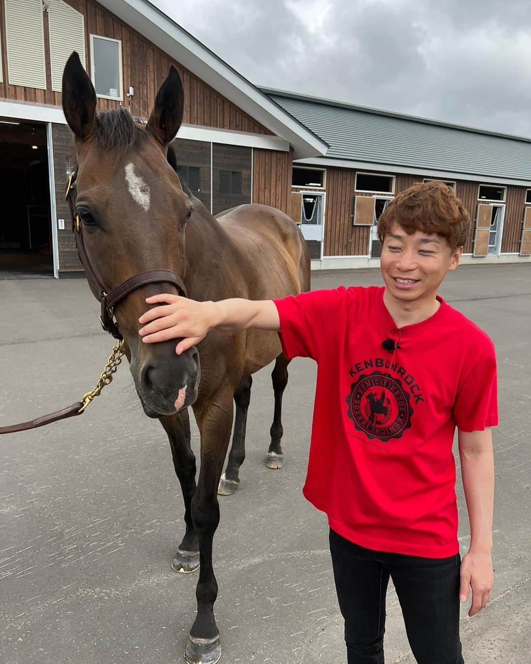 池添謙一さんのインスタグラム写真 - (池添謙一Instagram)「夏シリーズ シンハライト🐴 デビュー戦からコンビを組んで6戦5勝G1のタイトルも取りました🏇 今まで騎乗してきた中でも牝馬ではNo.1と言ってもいい乗り味の柔らかさでした‼︎ 屈腱炎で引退せざるをえなかったけど…大丈夫であればもっとタイトルを取れた子だと今でも思います🐴 子供にも乗りたい笑  グランアレグリア🐴 2戦しかコンビを組めなかったけど全てにおいてのセンス、ポテンシャルが最高に高い子でした🏇 安田記念で当時の最強馬アーモンドアイ🐴に勝利し なにより名門藤沢厩舎の管理馬でG1を取れたのも自分のキャリアの中で嬉しいG1タイトルの1つだと思います(^^)  末長く幸せに過ごしてほしい😌と思います  詳しくは謙聞録で  #シンハライト #グランアレグリア」9月21日 23時30分 - kenchan.0723