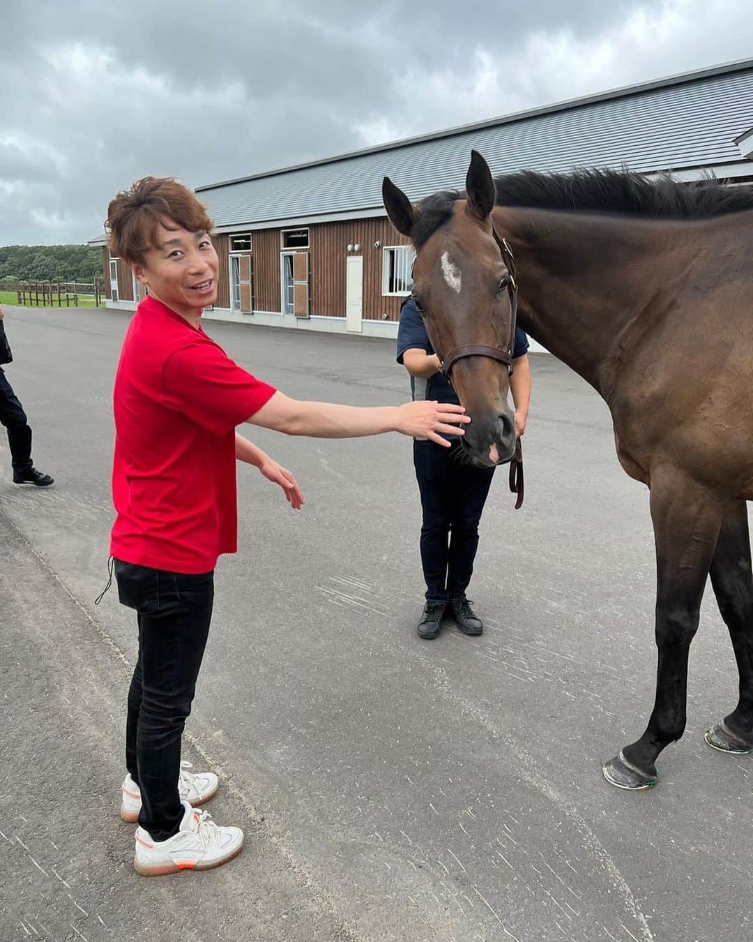 池添謙一さんのインスタグラム写真 - (池添謙一Instagram)「夏シリーズ シンハライト🐴 デビュー戦からコンビを組んで6戦5勝G1のタイトルも取りました🏇 今まで騎乗してきた中でも牝馬ではNo.1と言ってもいい乗り味の柔らかさでした‼︎ 屈腱炎で引退せざるをえなかったけど…大丈夫であればもっとタイトルを取れた子だと今でも思います🐴 子供にも乗りたい笑  グランアレグリア🐴 2戦しかコンビを組めなかったけど全てにおいてのセンス、ポテンシャルが最高に高い子でした🏇 安田記念で当時の最強馬アーモンドアイ🐴に勝利し なにより名門藤沢厩舎の管理馬でG1を取れたのも自分のキャリアの中で嬉しいG1タイトルの1つだと思います(^^)  末長く幸せに過ごしてほしい😌と思います  詳しくは謙聞録で  #シンハライト #グランアレグリア」9月21日 23時30分 - kenchan.0723