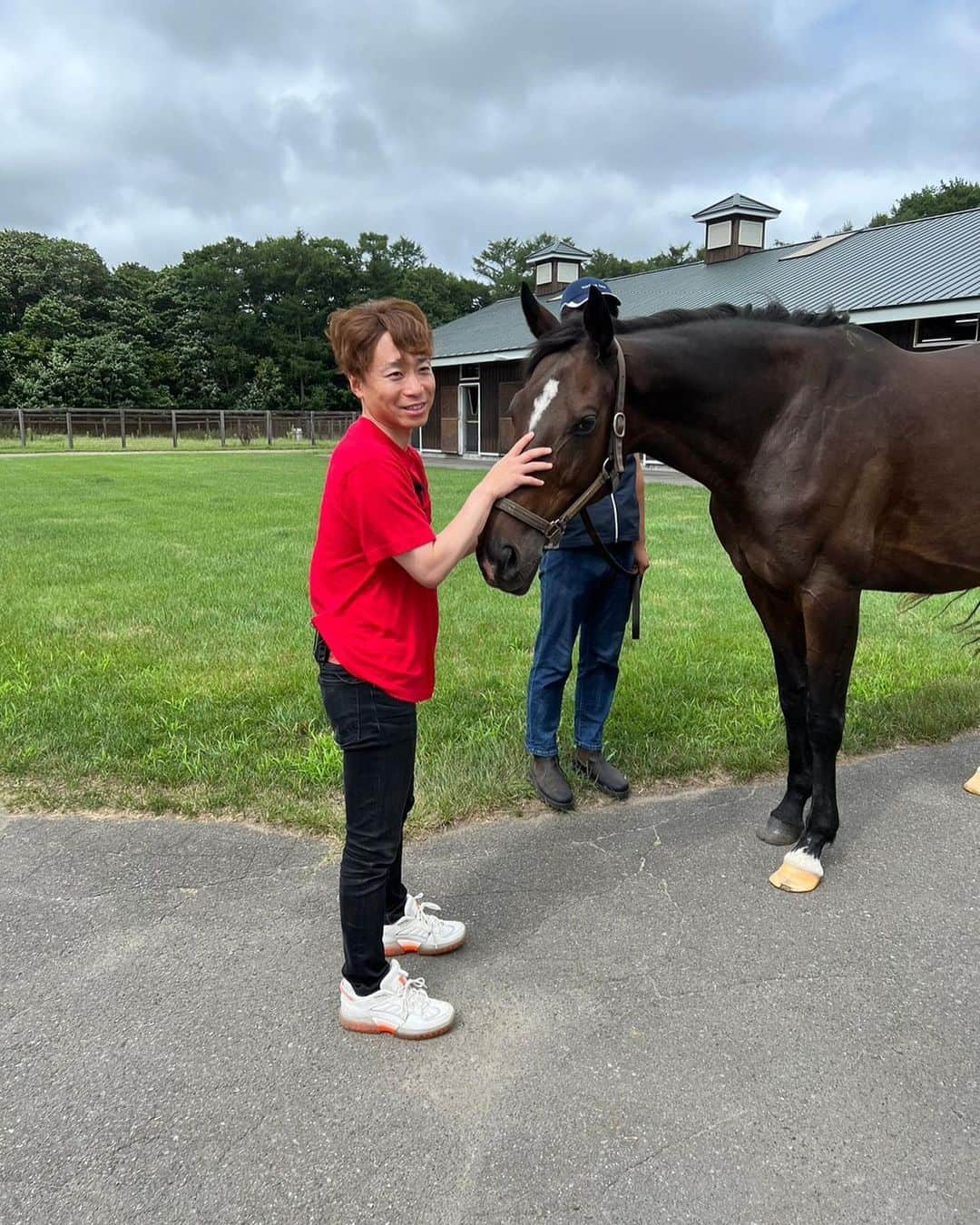 池添謙一のインスタグラム：「夏シリーズ シンハライト🐴 デビュー戦からコンビを組んで6戦5勝G1のタイトルも取りました🏇 今まで騎乗してきた中でも牝馬ではNo.1と言ってもいい乗り味の柔らかさでした‼︎ 屈腱炎で引退せざるをえなかったけど…大丈夫であればもっとタイトルを取れた子だと今でも思います🐴 子供にも乗りたい笑  グランアレグリア🐴 2戦しかコンビを組めなかったけど全てにおいてのセンス、ポテンシャルが最高に高い子でした🏇 安田記念で当時の最強馬アーモンドアイ🐴に勝利し なにより名門藤沢厩舎の管理馬でG1を取れたのも自分のキャリアの中で嬉しいG1タイトルの1つだと思います(^^)  末長く幸せに過ごしてほしい😌と思います  詳しくは謙聞録で  #シンハライト #グランアレグリア」