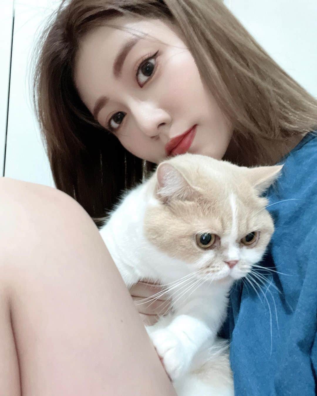 阿部マリアのインスタグラム：「一整天黏我 拍照就給我擺臭臉 好哦🙂妳最可愛呀  #みるくたん🐈」