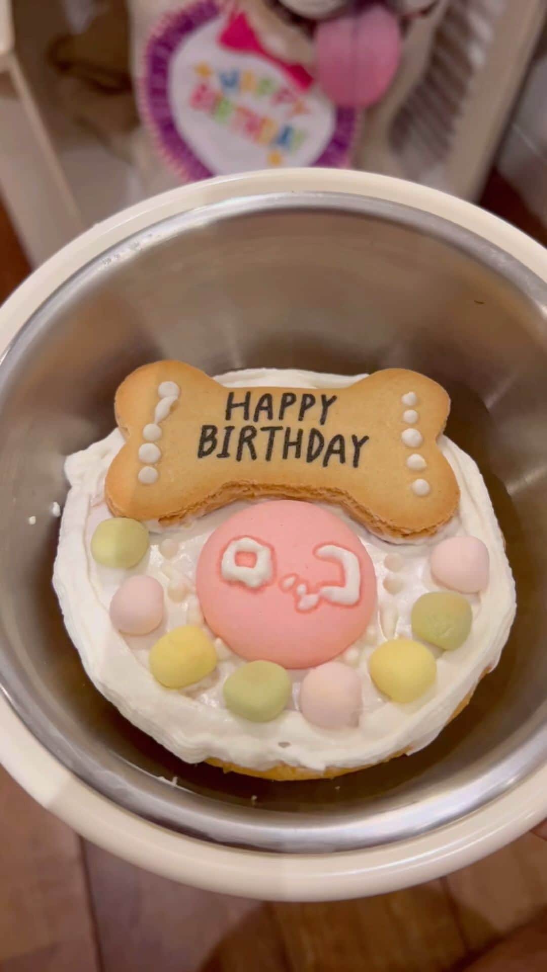 つの丸のインスタグラム：「ロッコがうちに来て2年。わかんないけど8歳ということに。 思えばロッコが来てすぐにフー子が来たのでロッコはすぐお兄さん的な扱いに。その後もフレ吉が。ニューフェイスとしてチヤホヤされる期間が短くてかわいそうだった。でもフー子やフレ吉の相手をしてくれたのはピートじゃなくいつもロッコ。 誕生日おめでとうロッコ🥳」