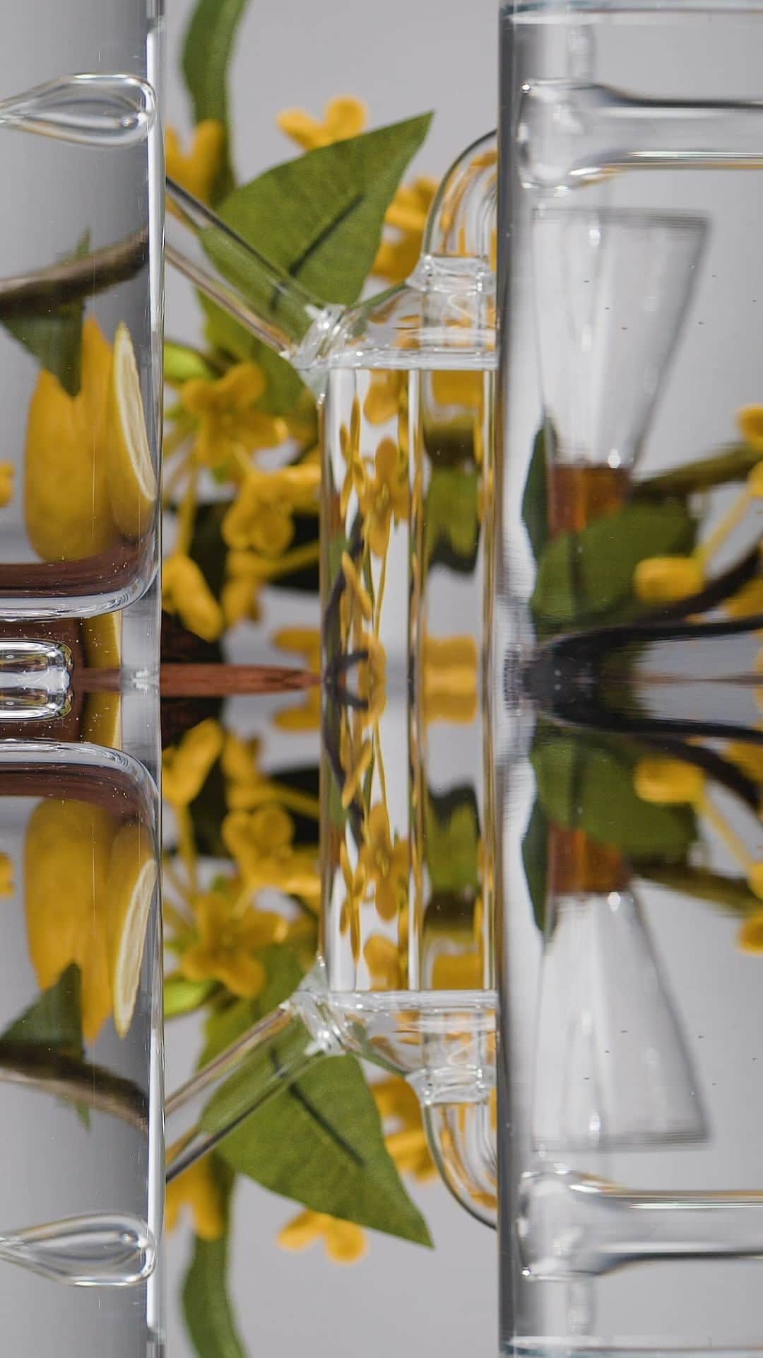 のインスタグラム：「Through the prism of golden fruits, the art of perfume meets precious ingredients,  revealing artistic combinations crafted with masterful precision.  #AcquadiParma​ #TheArtofPerfume #signaturesofthesun #theessenceofItalianlife」