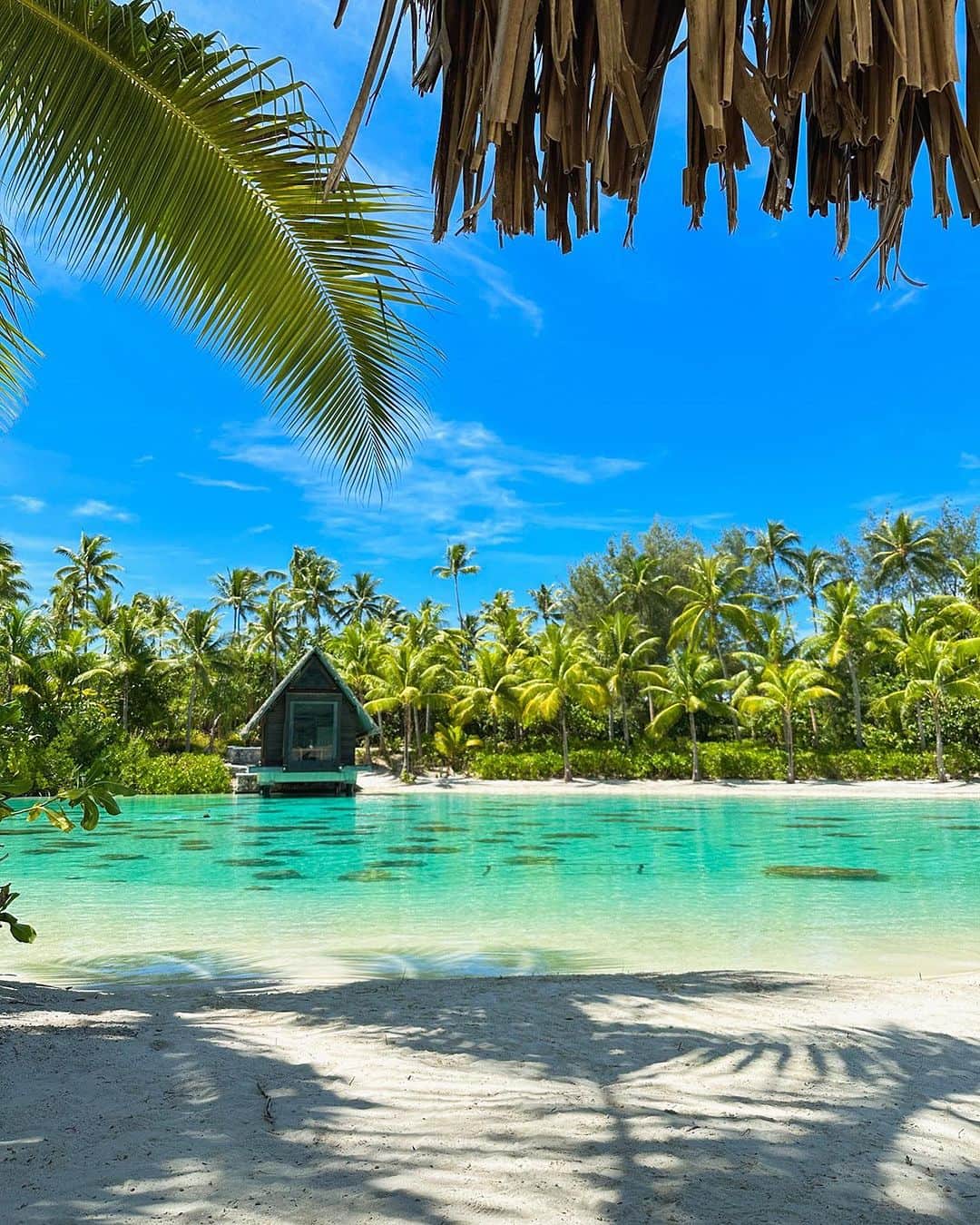 BEAUTIFUL HOTELSさんのインスタグラム写真 - (BEAUTIFUL HOTELSInstagram)「@nicoserpa takes us to the tropical paradise of InterContinental Bora Bora Resort & Thalasso Spa! 🌴 Did you know that Bora Bora is often referred to as the 'Pearl of the Pacific' due to its stunning lagoon, overwater bungalows and powder-soft sand? 🌊  📽 @nicoserpa 📍 @ic_boraborathalasso, Bora Bora, French Polynesia」9月22日 1時02分 - beautifulhotels