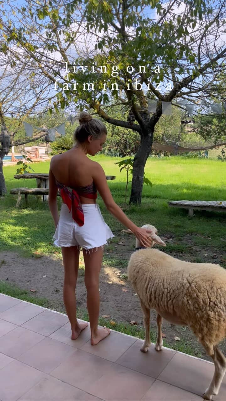 ニオミ・スマートのインスタグラム：「Heaven on Earth. 🐑🐱🦚 (I’m pretty sure I manifested this).」