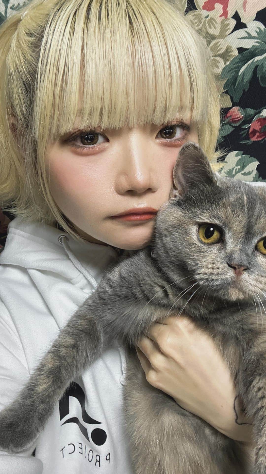 のインスタグラム