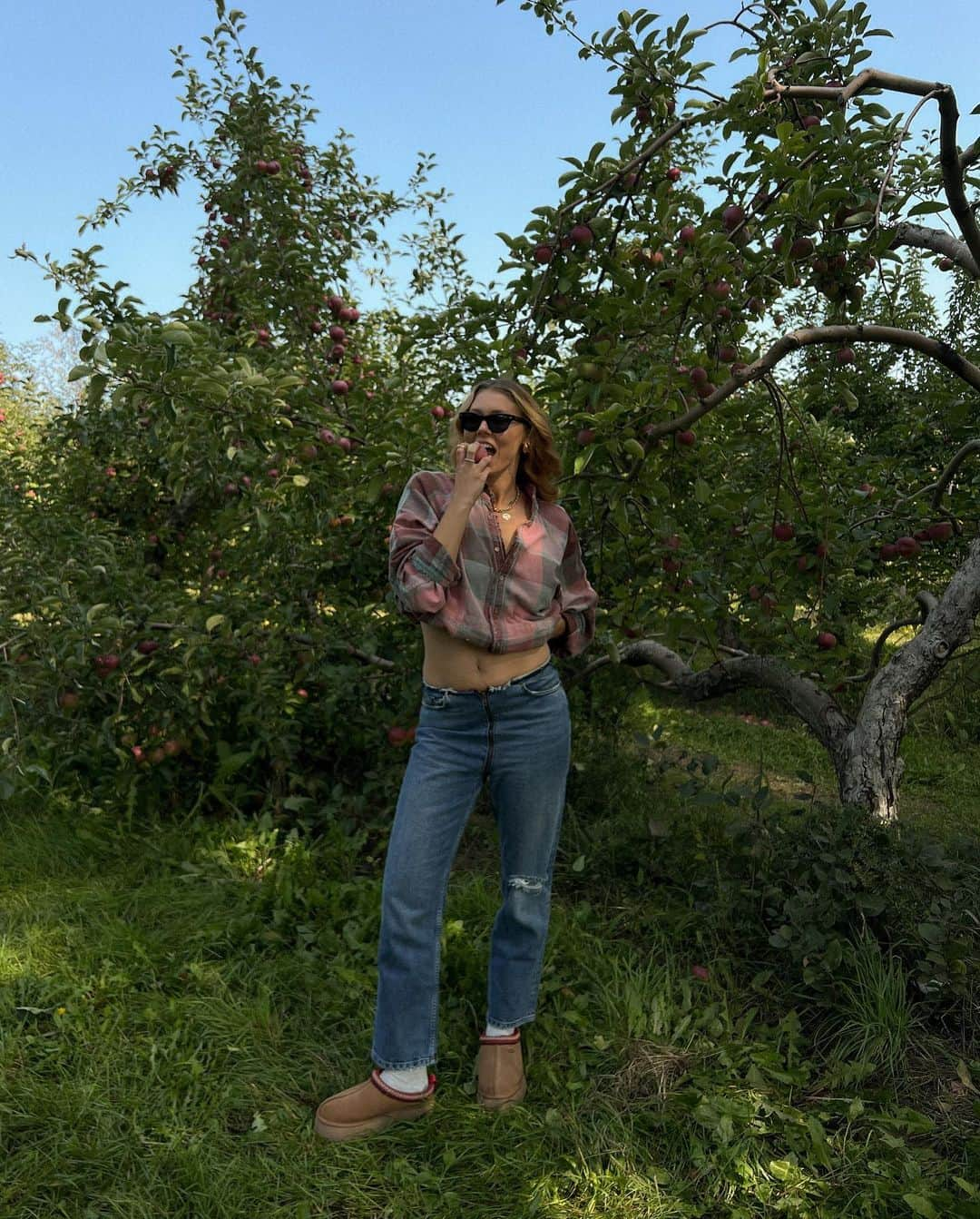 Alex Centomoさんのインスタグラム写真 - (Alex CentomoInstagram)「apple picking round 2 🍎🧺🍂」9月22日 3時35分 - alexcentomo