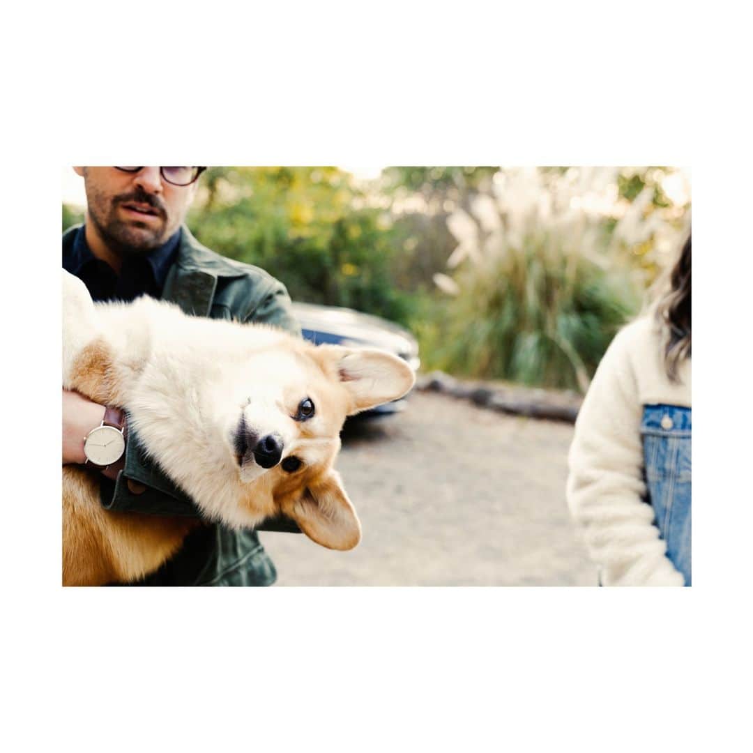 Airbnbのインスタグラム：「🐶🐱 You can now filter your search to show pet-friendly Airbnbs.」