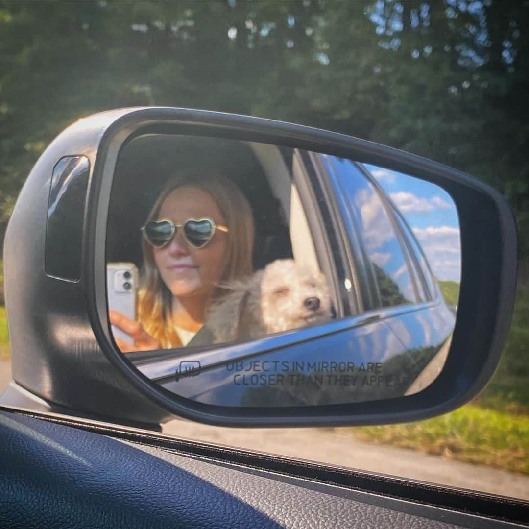 ジョアンナ・ブラッディのインスタグラム：「Cruising with my angel baby @adventuresofaddygirl 😇🐩 . . . . #love #travel #roadtrip #dog #adoptdontshop #bichon #bestie」