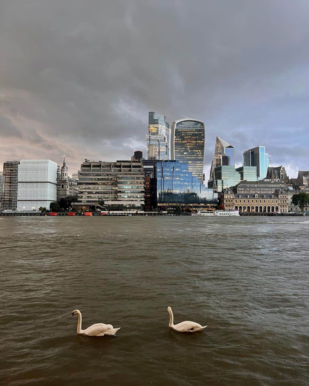 MiChiさんのインスタグラム写真 - (MiChiInstagram)「London in the Rain 🕊️  #london#rain#uk」9月22日 4時31分 - michimadness
