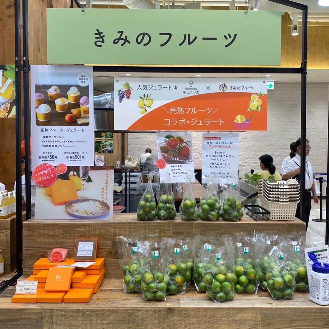 和歌山県食品流通課さんのインスタグラム写真 - (和歌山県食品流通課Instagram)「阪神百貨店梅田本店1階の食祭テラスにて「ぶらり和歌山さんぽ」が開催されています！  日時：9月20日（水）から9月28日（木） 時間：10時〜20時  和歌山大学の学生さんたちがセレクトして実際に販売している和歌山大学学生SHOPや、県内事業者さんの出店ブース、地元の観光協会が日替わりで地域情報を発信する、きのくに出張所ブースがあります。  県内事業者さん（南紀みらいさん、井出商店さん、tocotowaさん、きみのフルーツさん）の出店ブースのお写真です📷✨  たくさんの和歌山県産品が揃っていますので、ぜひお近くにお越しの際はお立ち寄りください😊！  #阪神百貨店　#ぶらり和歌山さんぽ　#おいしい健康わかやま　#tasty_healthy_wakayama　 #なんて素敵な和歌山なんでしょう　#おいしく食べて和歌山モール　#おいしい！健康わかやま  #wakayama  #insta_wakayama　#instagood　#instalike #instafood」9月22日 15時25分 - tasty_healthy_wakayama