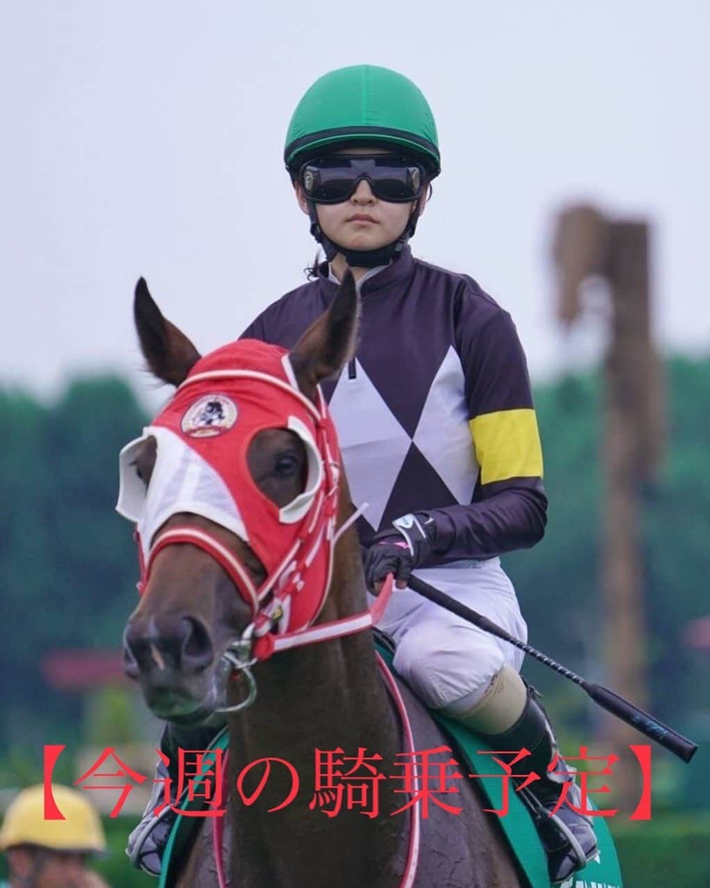 古川奈穂のインスタグラム：「【騎乗予定】 《9月23日祝日中山競馬場1鞍》 9R アスクアイルビゼア  《9月24日日曜日阪神競馬場1鞍》 7R カネトシディーバ  【騎乗結果】 《9月16日土曜日阪神競馬場2鞍》 7R クリノヴァニラ　14着 12R メリタテス　4着  《9月17日日曜日阪神競馬場3鞍》 2R アクロスザシーズ　6着 6R カネトシディーバ　12着 8R オラヴェリタス　1着🥇  皆様、日々ご声援頂きありがとうございます。 今後とも応援のほど、よろしくお願いします！  #騎乗結果  #騎乗予定  #スタッフ投稿  #古川奈穂  #jra  #騎手  #ジョッキー  #jockey  #競馬  #horseracing  #馬が好き #馬好きさんと繋がりたい  #馬好きな人と繋がりたい  #馬  #horse  #9月 #一走入魂  #2023年 #阪神 #阪神競馬  #阪神競馬場 #中山 #中山競馬  #中山競馬場」