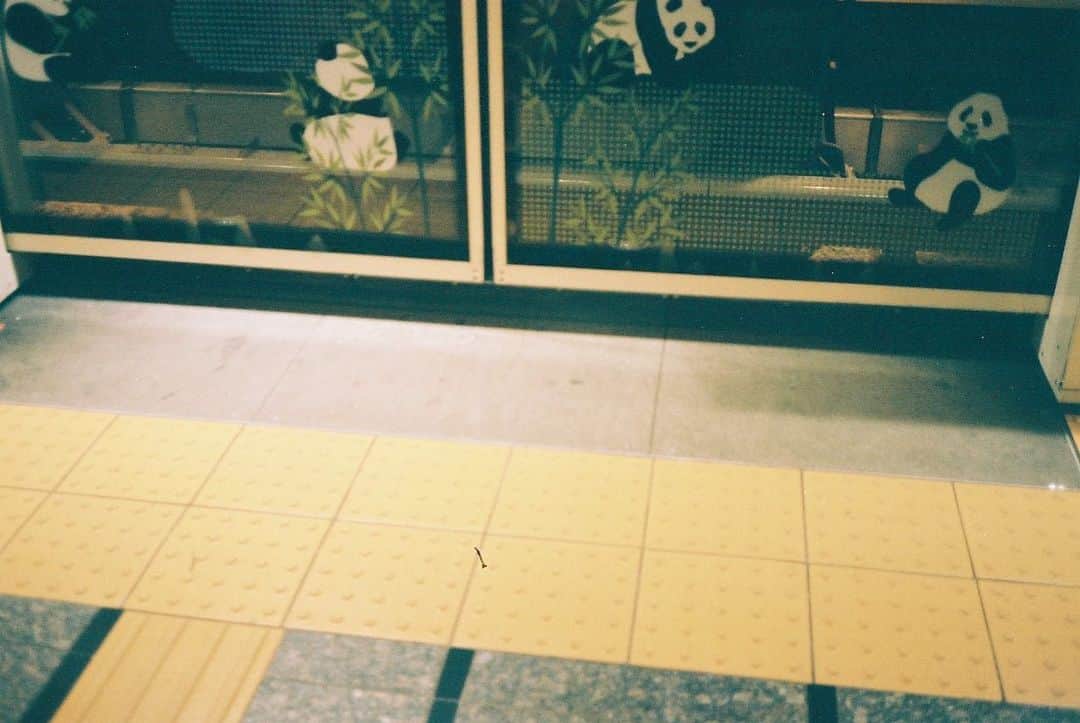 麻絵さんのインスタグラム写真 - (麻絵Instagram)「日々のあれこれ。 だいぶ前の写真がたくさんある。  #麻絵カメラ #フィルムカメラ」9月22日 14時48分 - asaesan