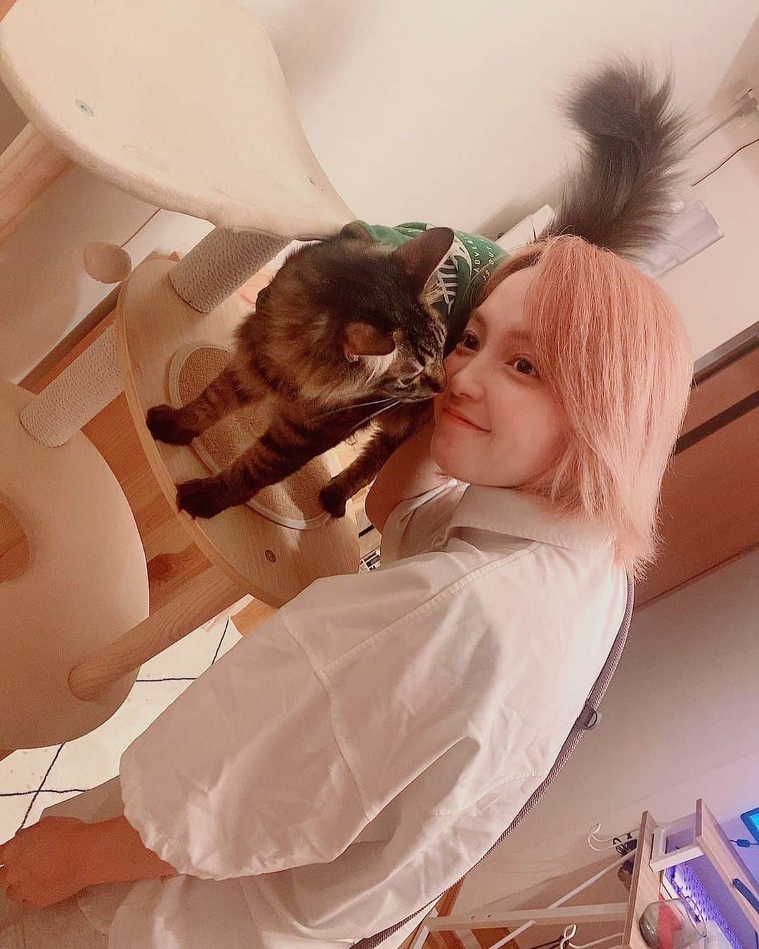 大塚りりあさんのインスタグラム写真 - (大塚りりあInstagram)「友人宅の猫ちゃんにメロメロの私🐈」9月22日 14時49分 - riria_ohtsuka