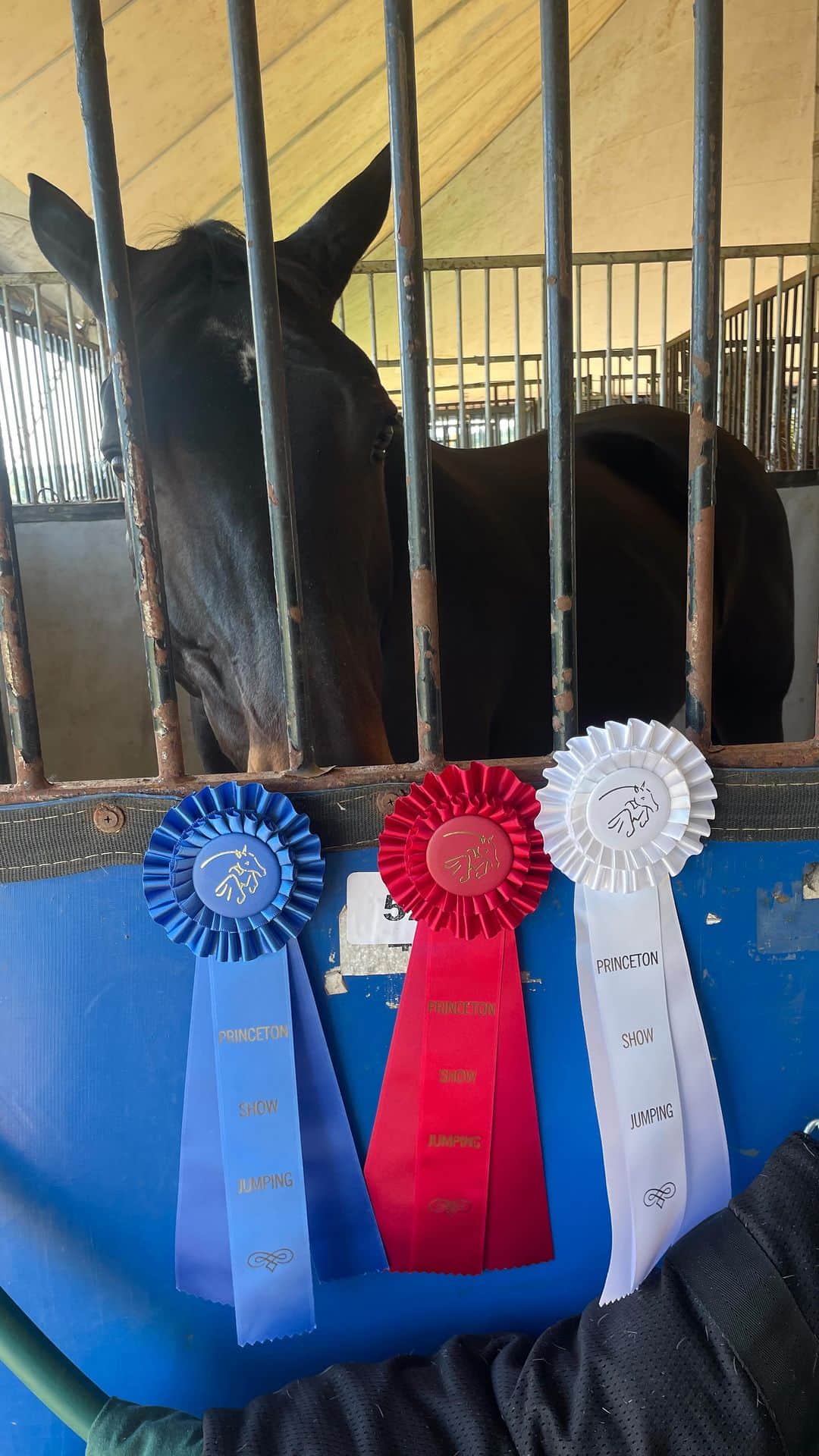ブリジット・マルコムのインスタグラム：「Just finished our first away show (Princeton). We got 1st and 2nd in the .70 jump off classes and a 4th in the speed ❤️ best two days of showing with the best mare ever 🥰🥰🥰 thank you @marybast7 & @briana_strand - this was so fun!」