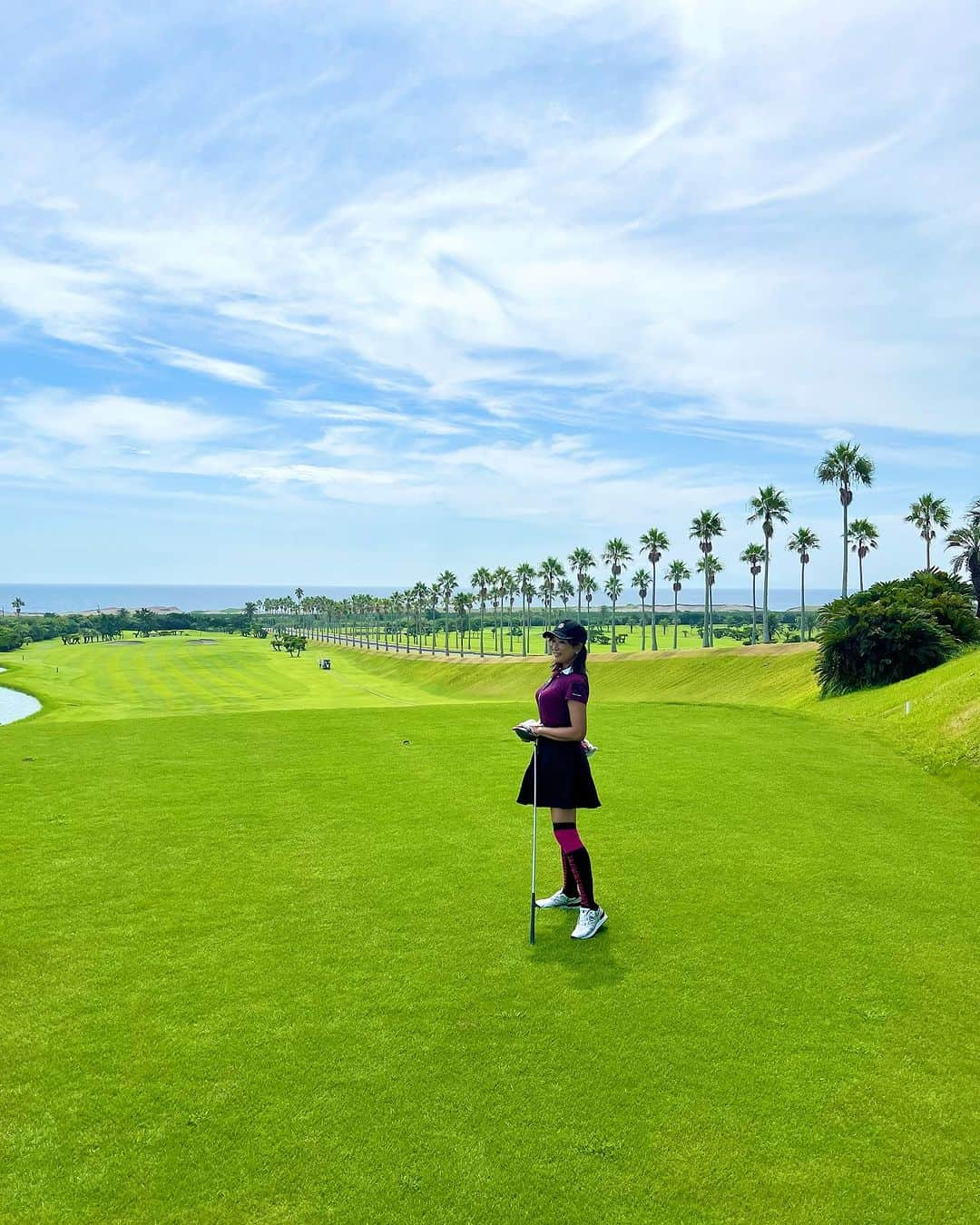 田中浩実さんのインスタグラム写真 - (田中浩実Instagram)「✧︎ 館山カントリークラブ @tateyama_countryclub   以前投稿した時、この場所ステキ♡ とお声をたくさんいただいた場所。  ヤシの木の並びもステキだし、海も見えるから海外みたいですよ！  この日は暑かったからランチが待ち遠しかった！ お食事も美味しいのでおすすめゴルフ場です！  📍館山カントリークラブ 千葉県館山市坂井772-54 #館山カントリークラブ #ゴルフ場 #ゴルフ女子  #ゴルフ日和 #ゴルフ  #ゴルフ初心者  #ゴルフ練習  #ゴルフ好き  #ゴルフウェア  #ゴルフコーデ  #館山  #ゴルフランチ #golf #golflover」9月22日 8時56分 - hiromi.tanaka.japan