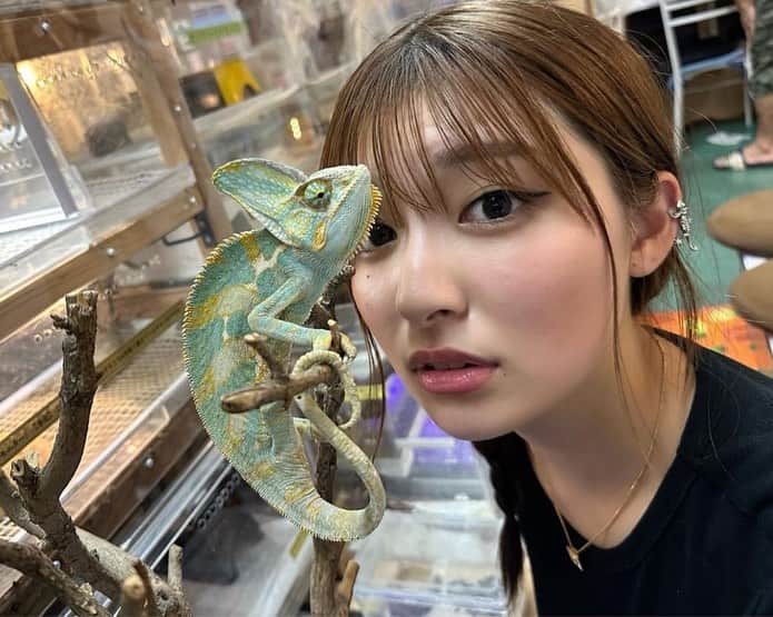 吉川愛さんのインスタグラム写真 - (吉川愛Instagram)「☺︎ ※【爬虫類の写真があります苦手な方見ないでね】※ なたんと大好きな爬虫類達に会ってきた💜🦎 帰りになたんとお揃いトカゲリング買った💍 （仕事終わりでメイク濃いのです） @reptiles_resort」9月22日 10時30分 - ai_yoshikawa_official