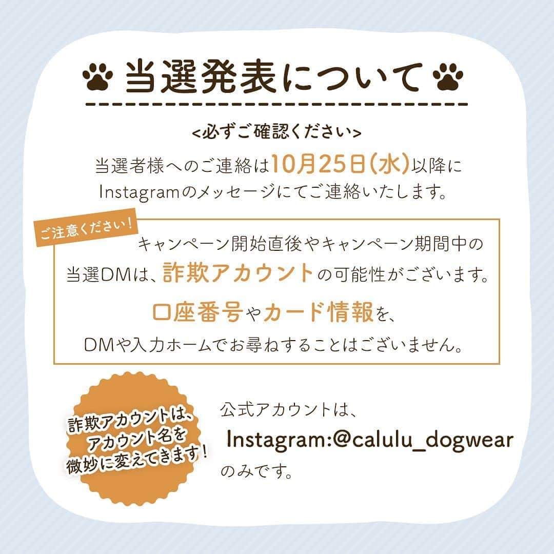 Caluluさんのインスタグラム写真 - (CaluluInstagram)「第2回わんだふるフォトコンテストを開催🌟  前回の初のフォトコンテストでは素敵なお写真を沢山ありがとうございました♪  大盛況だった『わんだふるフォトコンテスト』の2回目を開催いたします💐  愛犬・愛猫の🌼夏の思い出🌼のお写真Instagramで投稿して、豪華賞品をゲット🎁✨  下記のご応募方法で、ご投稿していただいたお写真は、カルル公式サイトのわんだふるフォトコンテストページにてご紹介🫧 カルルの公式SNSにもご登場するかも！？ ※音楽付きのリール画像やご投稿は著作権の関係上、ご応募の対象外となります。  🎁プレゼント内容＼抽選で合計50名様／  ●ファッショニスタ賞　18名様 ∟2023秋冬新作商品の2枚セット  ●カルビー賞　6名様 ∟カルビーのペットベッドとおもちゃのセット  ●ペットベッド賞　6名様 ∟LAURA ASHLEYまたはLOGOSのベッドを1つ  ※各賞ともにデザインやカラーはお選びいただけません。  ●特別賞　20名様 ∟Caluluオンラインショップで使える1000円分のポイントプレゼント！ （※ポイントの受取りには無料会員登録が必要です。）  🟣キャンペーン応募期間 9月22日(金)11:00〜10月22日(日)23:59まで  🟣応募方法 ①Calulu公式アカウント(@calulu_dogwear )をフォロー 。 ※既存フォロワーさんも応募可能です！ ②ハッシュタグ「#第2回わんだふるフォトコンテスト」と@calulu_dogwearのメンションをキャプションにつけて、ご自身のInstagramにて愛犬・愛猫の🌼夏の思い出🌼のお写真投稿！  🟣応募条件 ・日本国内にお住まいの方 ・公式サイトや公式SNS(Instagram・Twitter・LINE）やメルマガにて掲載可能な方 ・プレゼント当選後、Instagramにてご投稿が可能な方  ※本キャンペーンは、Meta Platform,Inc.社とは関係ありません。  🟣投稿画像の取り扱い 応募いただいた投稿はカルル公式サイトのわんだふるフォトコンテストページ内にて随時公開いたします。 ページ内でのご紹介はプレゼントの当選とは関係がありませんのであらかじめご了承ください。 https://www.calulu-dogwear.jp/user_data/wonderful_photocontest_part2  🟣応募規約 ・本キャンペーンは株式会社トレードワークスが主催しています。 ・本キャンペーンへの応募は、利用規約および以下の注意事項について、ご理解、ご同意いただいていることを条件といたします。 なお、本キャンペーンにご応募いただいた方は、ご応募いただいた時点で、以下の注意事項について、ご同意いただいたものとみなします。 ・本キャンペーンは、予告なく中止または内容が変更となる場合がございますので、あらかじめご了承ください。 ・応募状況および抽選結果に関するお問い合わせにはお答えしかねます。 ・本キャンペーン当選商品のご交換や返品などはいたしかねます。 ・住所/転居先不明または長期不在などにより、賞品がお届けできなかった場合や賞品発送後の賞品による損害等の責任については、弊社は一切負いかねます。 ・賞品の転売は禁止いたします。転売・譲渡された賞品に関して当社は一切責任を負いかねます。  🟣当選発表 当選された方には10月25日(水)以降にメッセージにてご連絡いたします。 ※当選連絡後、3日以内にお返事がない場合は他の方に当選権が移ります。  ⚠️ご注意⚠️ ※詐欺アカウントなどにご注意ください。メッセージにて、口座番号やカード番号などをお尋ねすることはございません。 また、キャンペーン開始直後などに来るDMは詐欺アカウントの可能性がございます。  ✔︎Calulu公式アカウントはInstagram：@calulu_dogwear のみです！  皆さまの沢山の素敵なお写真をお待ちしております📸  #カルル #カルルドッグウェア #calulu #calulu_dogwear #カルルわんこの会 #カルルにゃんこの会 #ドッグウェア #犬服  #ブランド犬服 #オシャレ犬服 #犬のお洋服 #おしゃれ犬  #小型犬 #中型犬 #大型犬 #わんこのいる生活 #いぬのいる暮らし #いぬすたぐらむ #わんこ部  #いぬとおでかけ #わんことお出かけ #ねこのいる生活 #ねこと暮らす #ねことお出かけ #にゃんこのいる暮らし #夏の思い出 #思い出写真 #プレゼントキャンペーン #第2回わんだふるフォトコンテスト」9月22日 11時00分 - calulu_dogwear