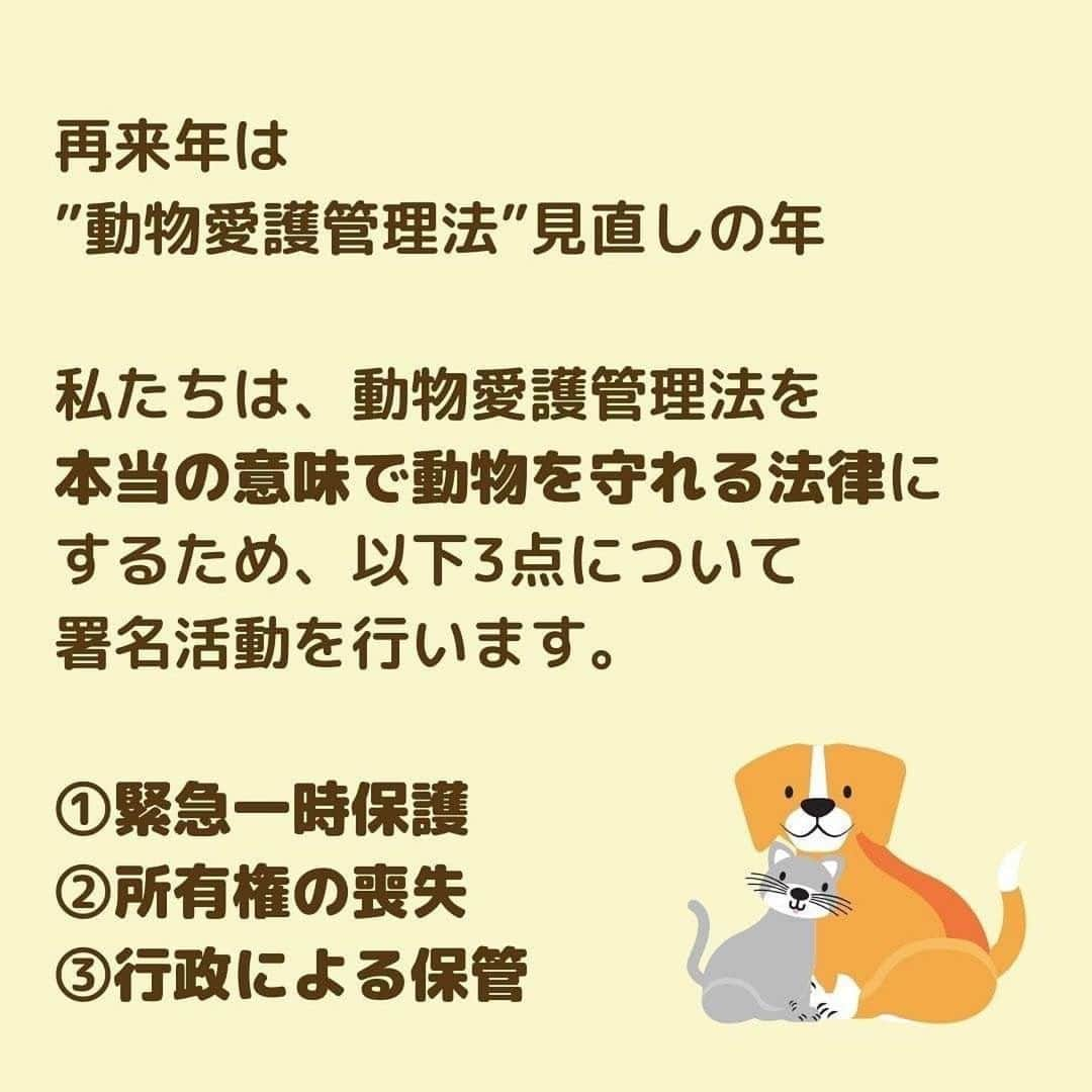 安藤志穂美さんのインスタグラム写真 - (安藤志穂美Instagram)「滝川クリステルさん(@christeltakigawa ) が代表を務める、一般財団法人クリステル・ヴィ・アンサンブル(@christelvieensemblefoundation )が、 虐待された動物の【緊急一時保護】、虐待した飼い主の【所有権喪失】を求める署名を立ち上げてくださいました。  こちらも併せて、ご賛同のご協力よろしくお願いいたします🙏  #飼い主に傷つけられた動物を守れる社会に  #Repost @christeltakigawa ・・・ みなさん、本当にご無沙汰しています。 3ヶ月ほど投稿が途絶えてしまいました😅 ご心配おかけしました🙇‍♂️  さて、今日はみなさんにお願いしたいことがあります。  再来年、5年に１度の動物愛護管理法の見直しが行われます。  日本の今の法律では、虐待から動物を守ることができないことをご存知ですか？  クリステル財団では、署名活動を９月２０日より開始しました。  是非是非、拡散、賛同、諸々のサポートをよろしくお願いします🤲　 署名のURLは、私や財団のInstagramのプロフィール欄に張ってありますので、そこからすぐにはいれます。 みなさん、一人一人の声がうねりを作ります。力を貸してください。 ↓↓↓↓↓↓↓↓↓↓↓↓↓↓↓↓↓↓↓↓↓↓↓↓  【#拡散希望】 本日 「#飼い主に傷つけられた動物を守れる社会に」プロジェクトを始動いたしました。  私たちは、動物愛護管理法を本当の意味で「飼い主に傷つけられた動物を守れる法律」にするため、以下３点の明記を求めて署名活動を行います。 集めた署名は、法改正に向けて国会議員へのロビー活動等に活用させていただきます。  詳しくは、https://www.change.org/cve_animalsosをご覧ください。 （Instagram プロフィール欄より飛んでいただけます。）  ーーーーーーーーーーーーーーーーーーーー 【署名内容　要約】 1）緊急一時保護　～手遅れになる前に、“証拠”ではない形で、虐待された動物が保護できるように～ 虐待を受けている（疑いのある）動物を、行政は警察と連携して適切なタイミングで一時保護しなければならない 2）所有権の喪失　～虐待を受けた動物が、虐待を繰り返す恐れのある飼い主のもとに帰らなくてすむように～ 虐待の程度が酷い場合や飼養環境が改善されないなど一定の条件をみたした場合には、当該動物の所有権を飼い主から喪失させることを可能とする 3) 行政による保管　～虐待を受けた動物の居場所が確保できるように～ 一時保護された動物は、原則として行政が保管する（所有権喪失後は、民間等とも連携の上、新しい飼い主探しを行う） ーーーーーーーーーーーーーーーーーーーー  署名及び周りの方やSNS等での拡散など、ご協力何卒よろしくお願いいたします。  ※SNS等で拡散いただく際は、 #飼い主に傷つけられた動物を守れる社会に　をつけていただき 当財団をタグ付け、メンションをいただけますと幸いです。  #christelvieensemblefoundation #クリステル財団 #動物愛護週間 #飼い主に傷つけられた動物を守れる社会に #滝川クリステル」9月22日 11時21分 - shiomi_ando