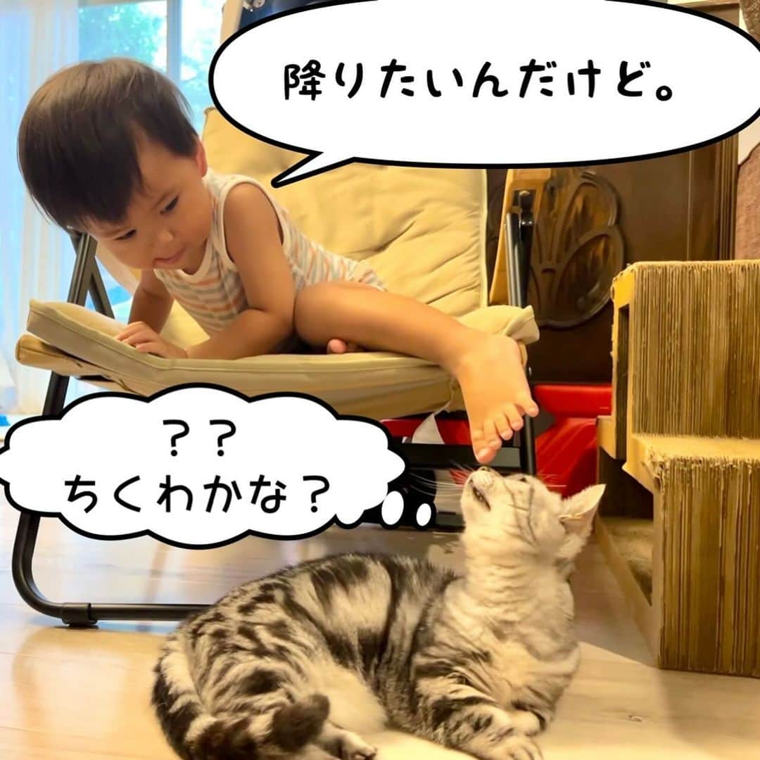 滝川ロランのインスタグラム：「写真漫画。 しつこい男は嫌われる編。  #猫との暮らし  #猫と息子 #写真漫画 #学習能力ゼロ」