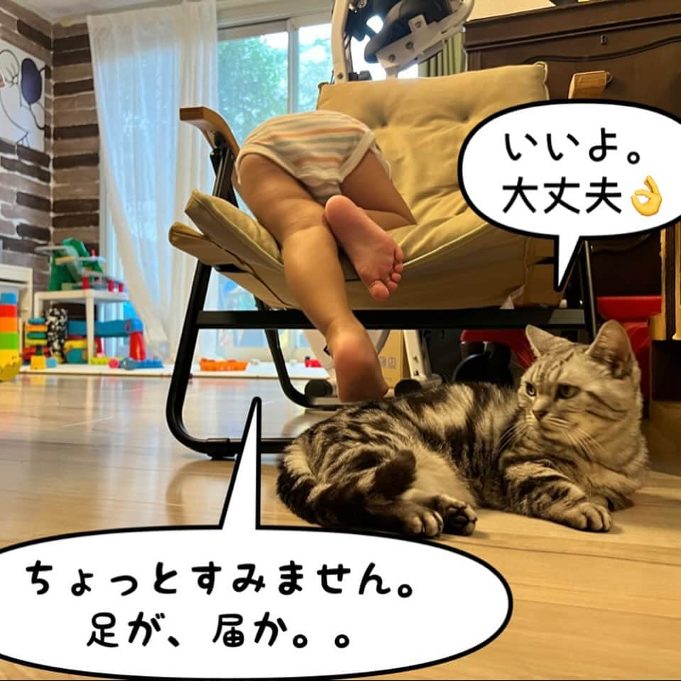 滝川ロランさんのインスタグラム写真 - (滝川ロランInstagram)「写真漫画。 しつこい男は嫌われる編。  #猫との暮らし  #猫と息子 #写真漫画 #学習能力ゼロ」9月22日 11時35分 - laurenttakigawa