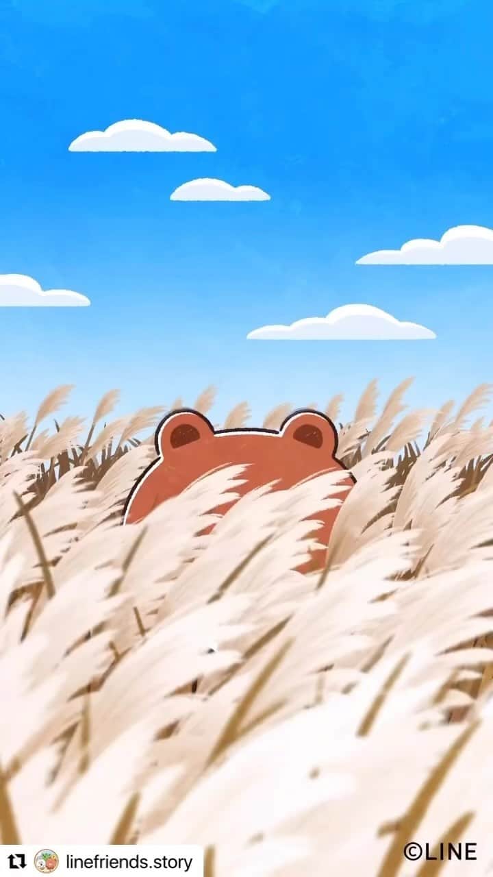 のインスタグラム：「Waiting for Autumn these days! What's up you guys this weekend? 🍁🍂  #Repost @linefriends.story with @use.repost ・・・ 🐻 Cony, are you taking it properly?  코니, 잘 찍고 있는 거지???  コニー上手く行ってる？？？  兔兔，你正拍著我嗎？   #STORYOFLINEFRIENDS #BROWN_CONY_DAILY」