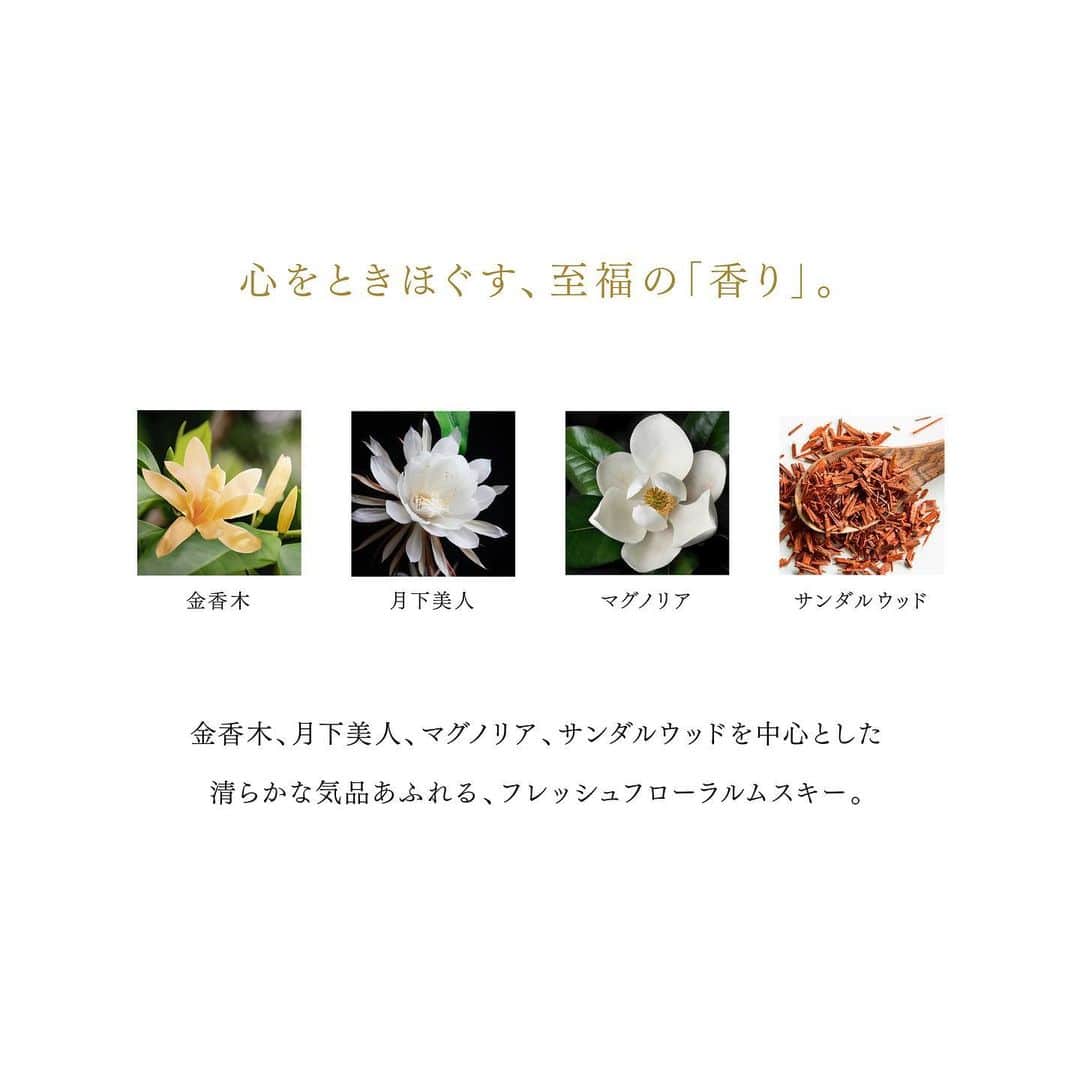 DECORTÉさんのインスタグラム写真 - (DECORTÉInstagram)「New AQ provides a delightful skincare.  Pure, elegant and fresh floral musky scent of Champak, Epiphyllum oxypetalum, Magnolia and Sandalwood invites you to relax and unwind.  新しいAQが叶える至福のスキンケア。  金香木、月下美人、マグノリア、サンダルウッドを中心とした、清らかな気品あふれる、フレッシュフローラルムスキーの香りが、心をときほぐす極上のひとときへと誘います。  新商品 AQ　アブソリュート エマルジョン マイクロラディアンス Ⅰ/Ⅱ/Ⅲ AQ　アブソリュート ローション ハイドロインフューズ Ⅰ/Ⅱ/Ⅲ AQ　アブソリュート バームクリーム エラスティック AQ　アブソリュート アイクリーム タイトフォーカス AQ　アブソリュート デイクリーム アウェイクニング プロテクト SPF15/PA++  #aq #aqabsolute #aqアブソリュート #ツヤ出し先行乳液 #幸せシグナル美容 #DECORTEAQ #コスメデコルテ #decorte #スキンケア #skincare」9月22日 12時01分 - decorte_official